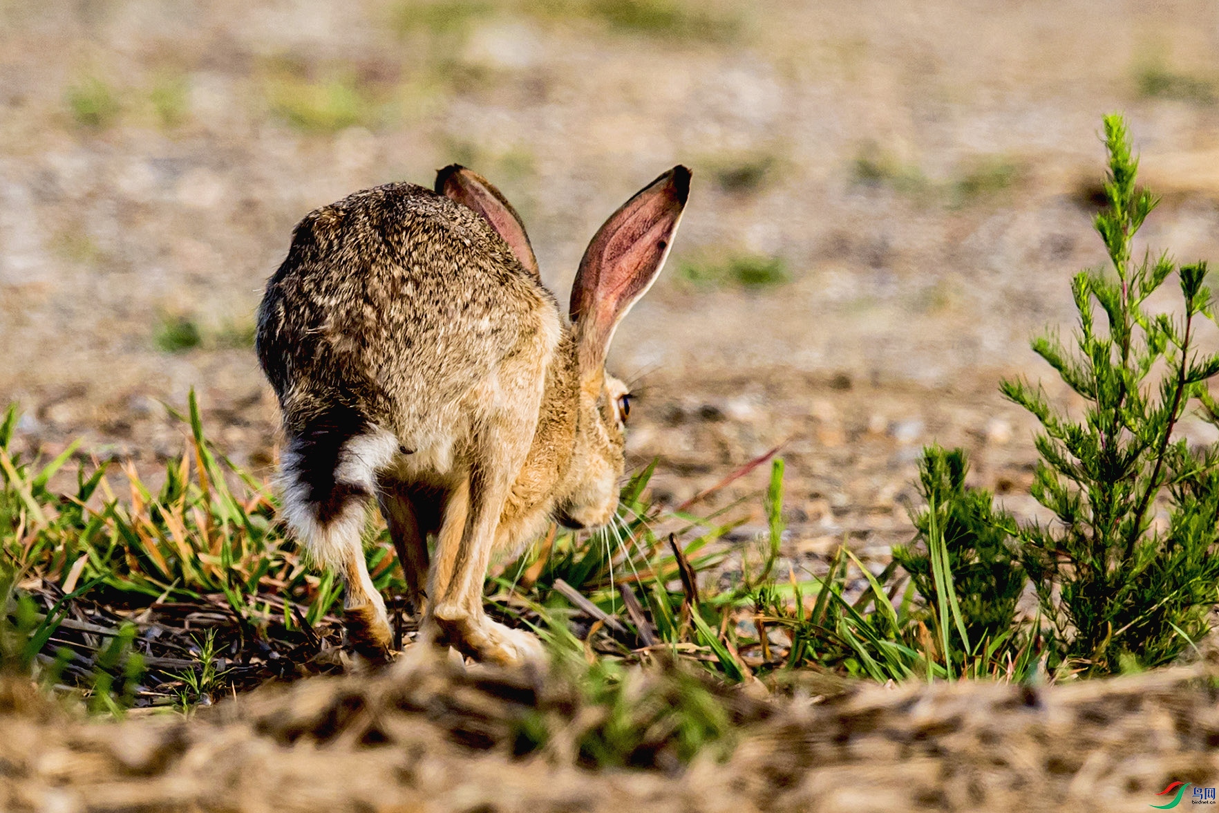 _90I3972 ���� 2.jpg