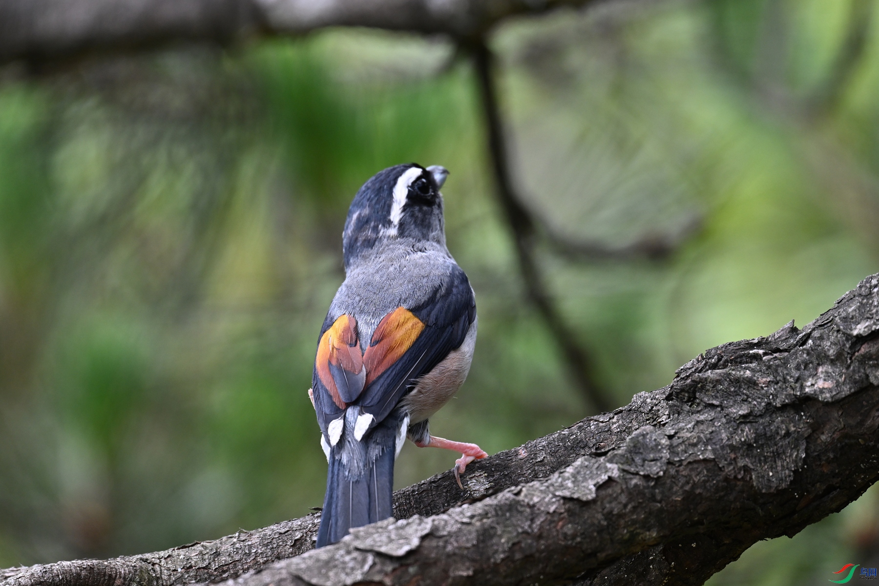 DSC_1499.JPG