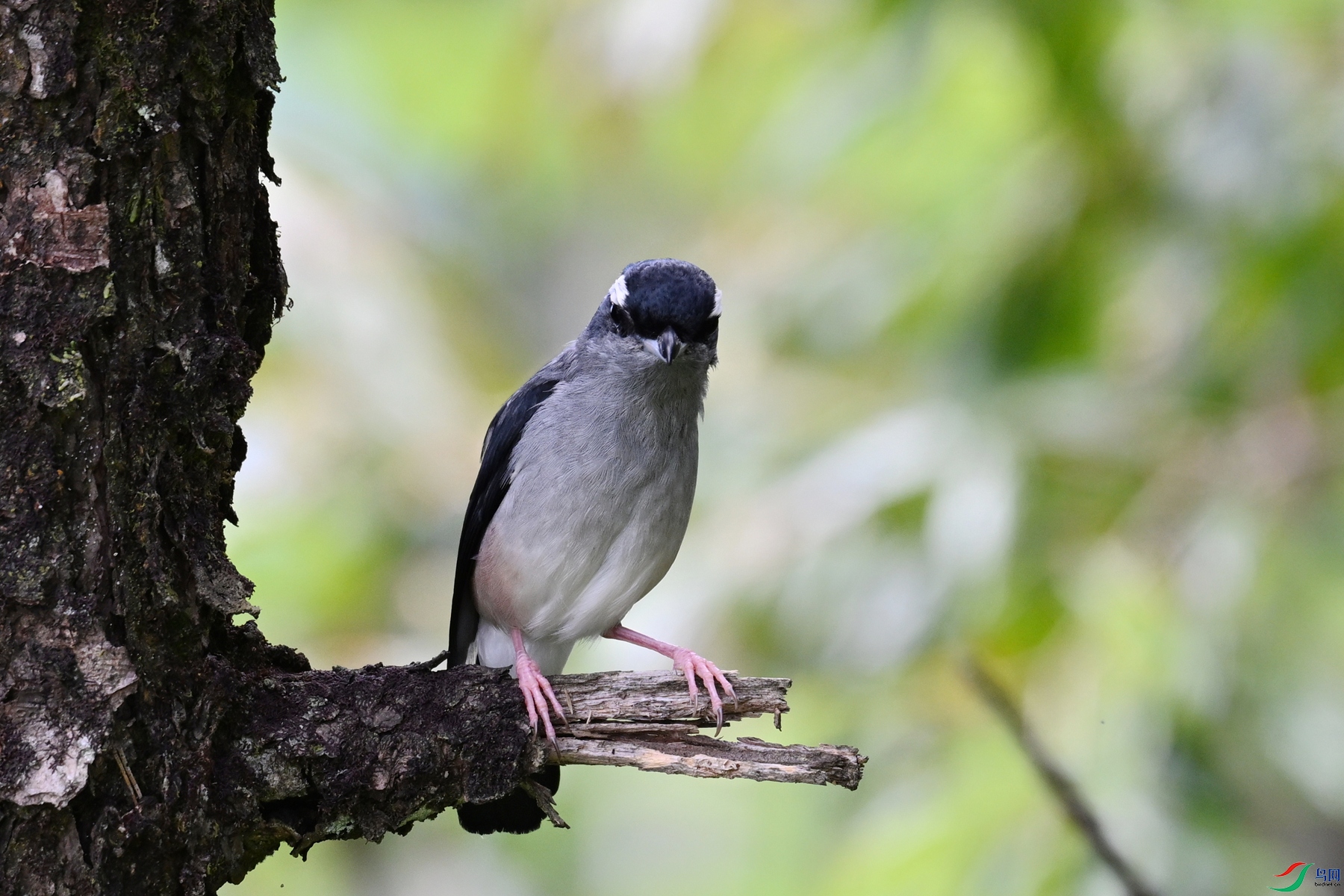 DSC_1457.JPG