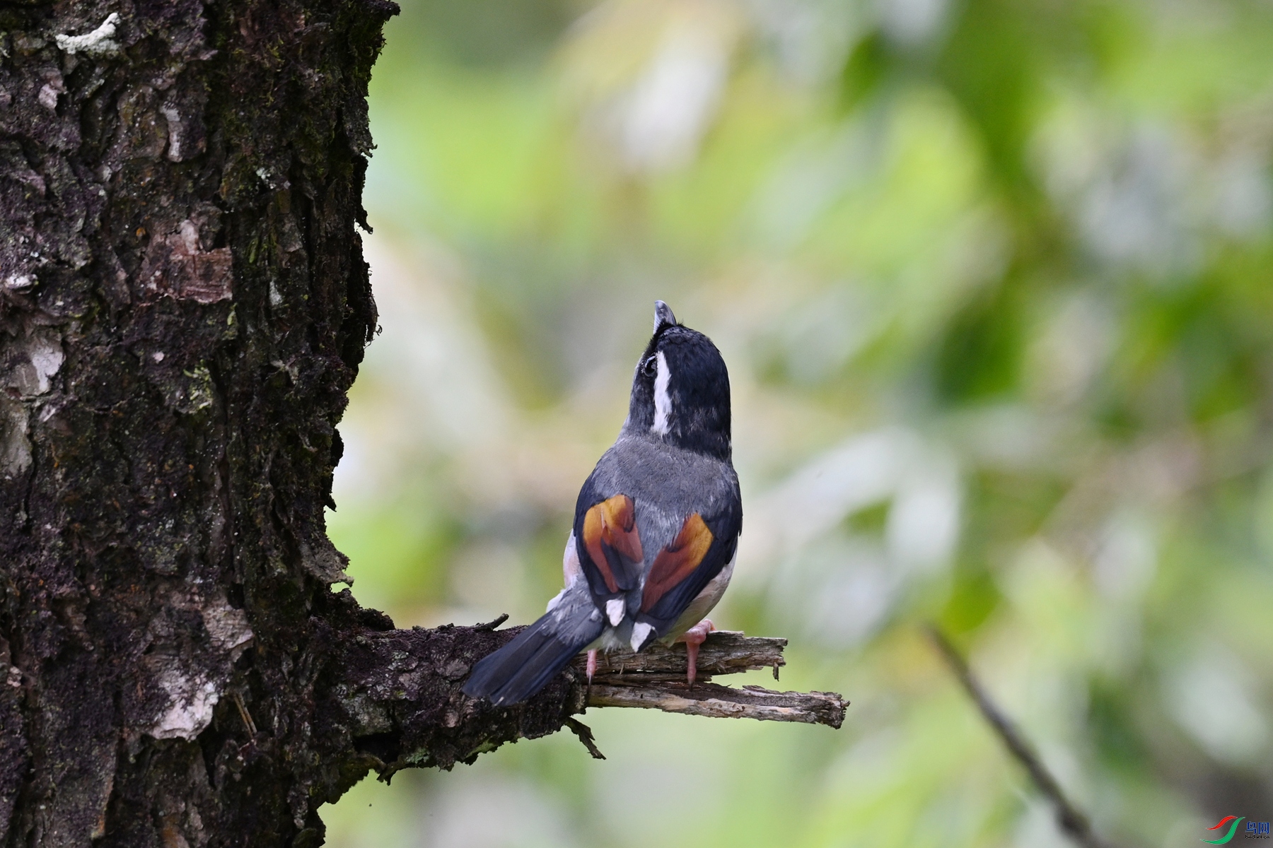 DSC_1470.JPG