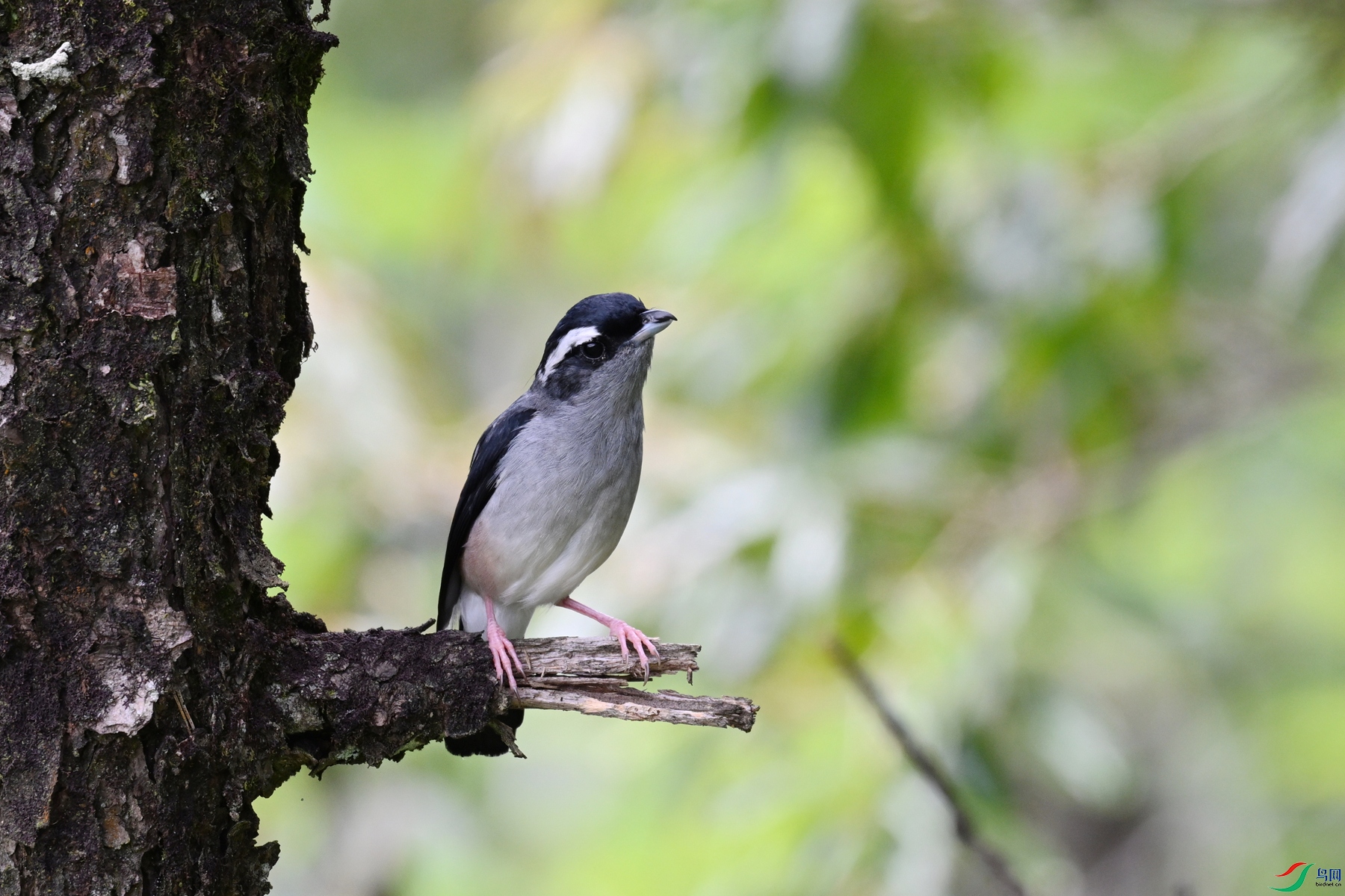 DSC_1459.JPG