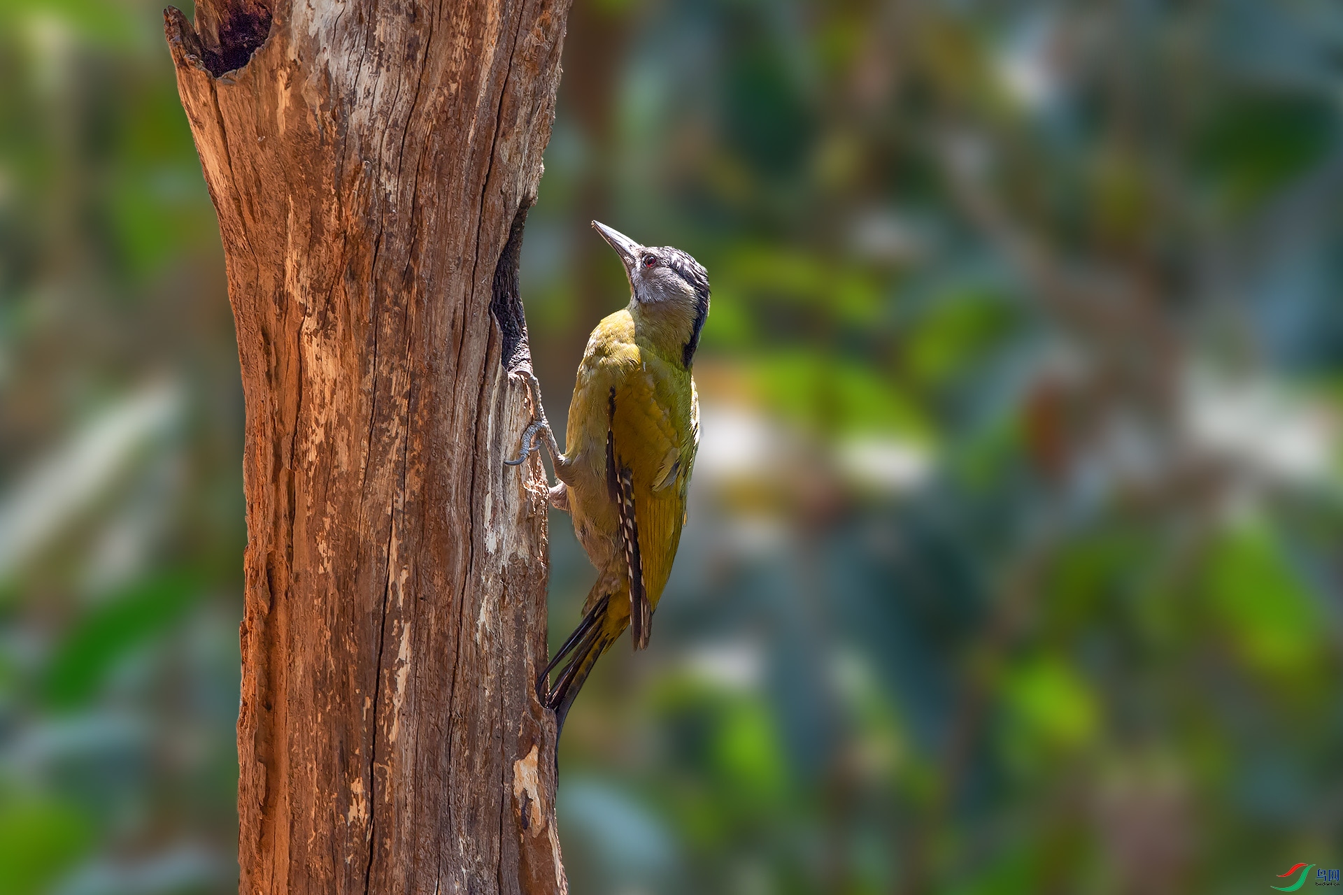 DSC_6094.jpg