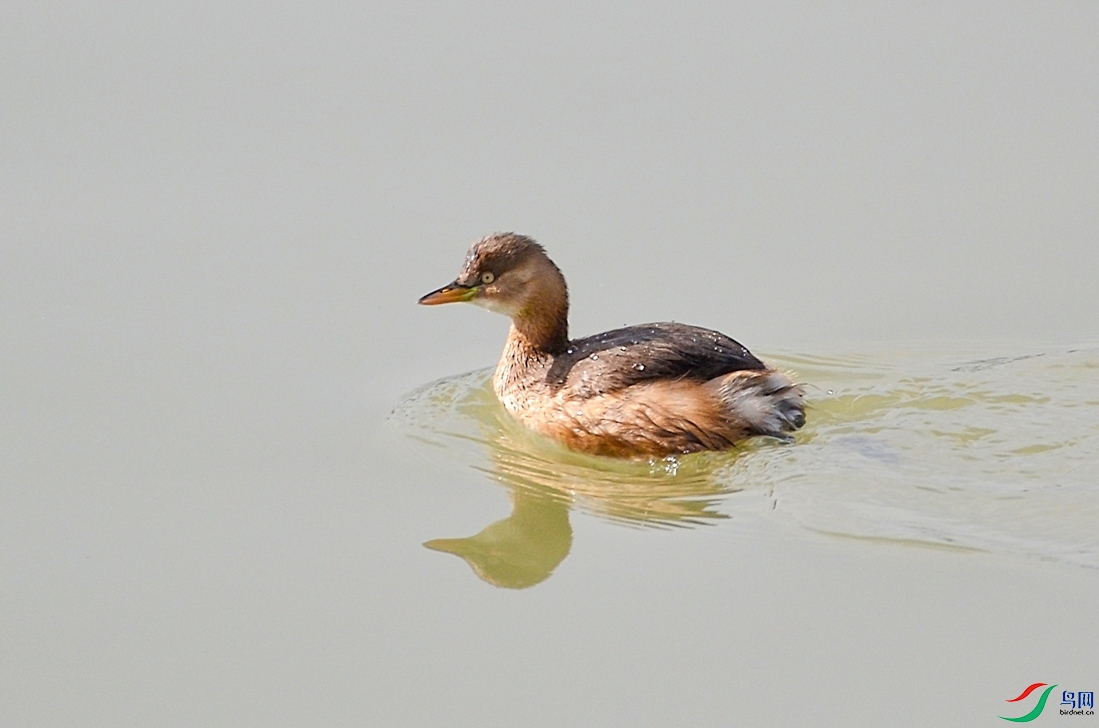 С-1 ���� С-1 ����1.jpg