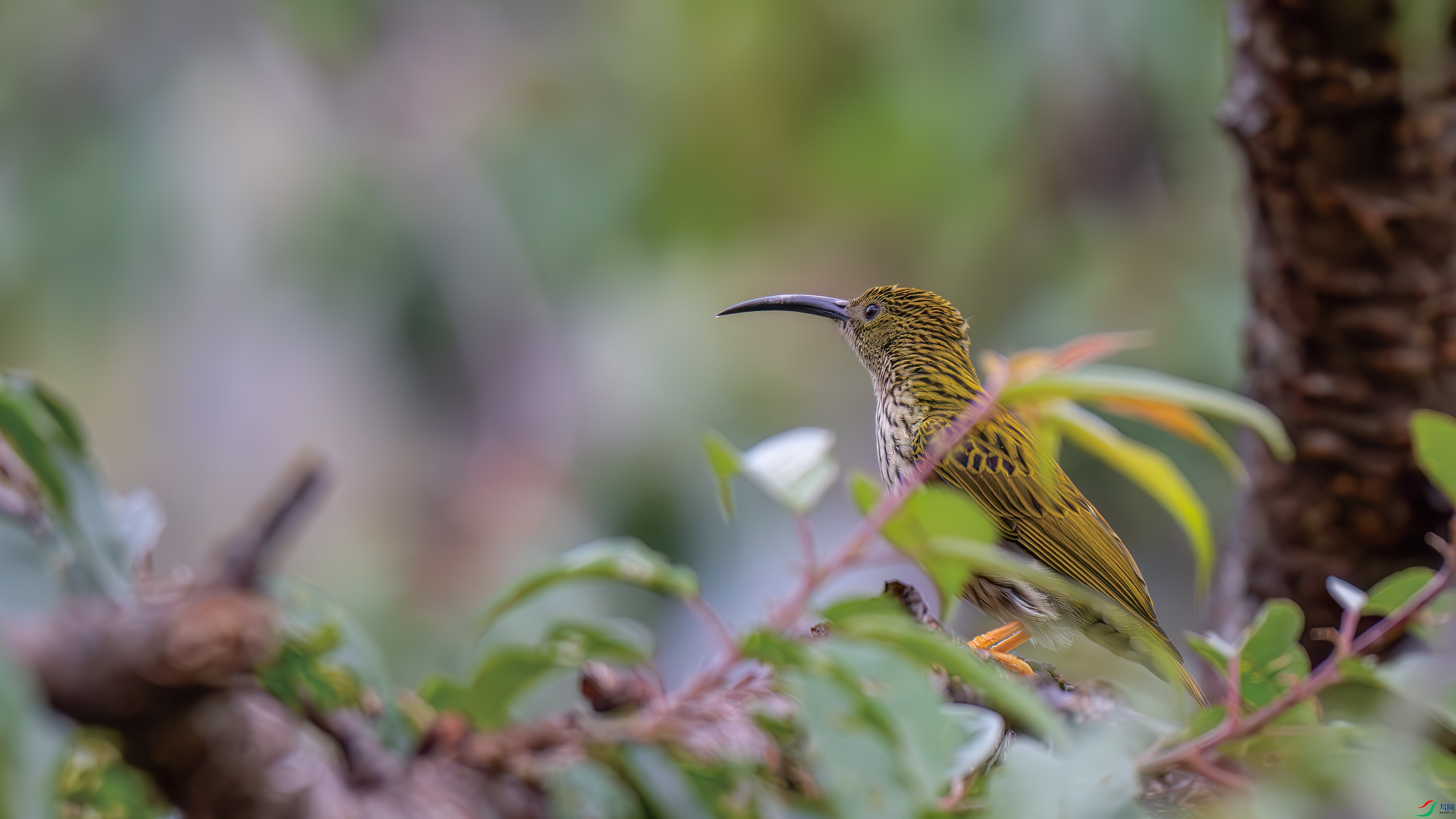 DSC_7636.jpg