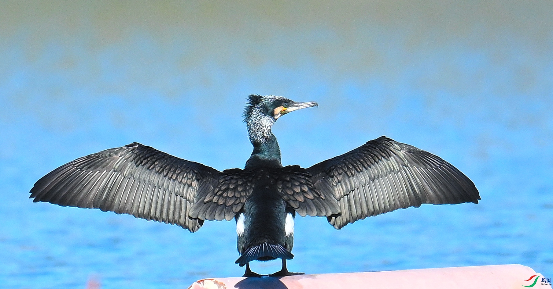 DSC_2148.JPG
