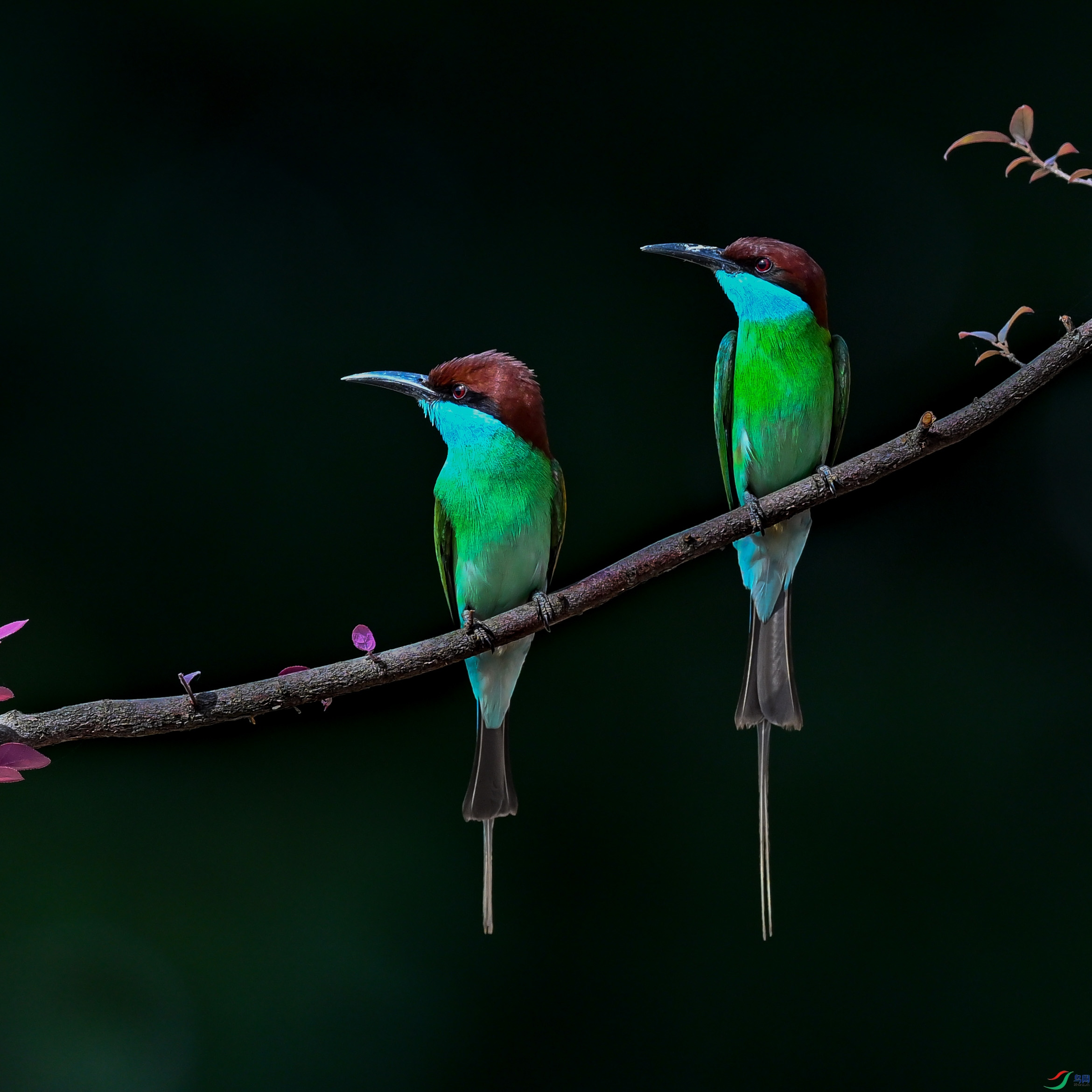 DSC_0142.jpg