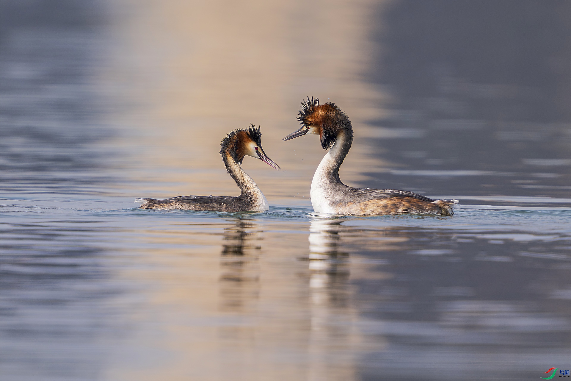 _DSC9661 ����.jpg