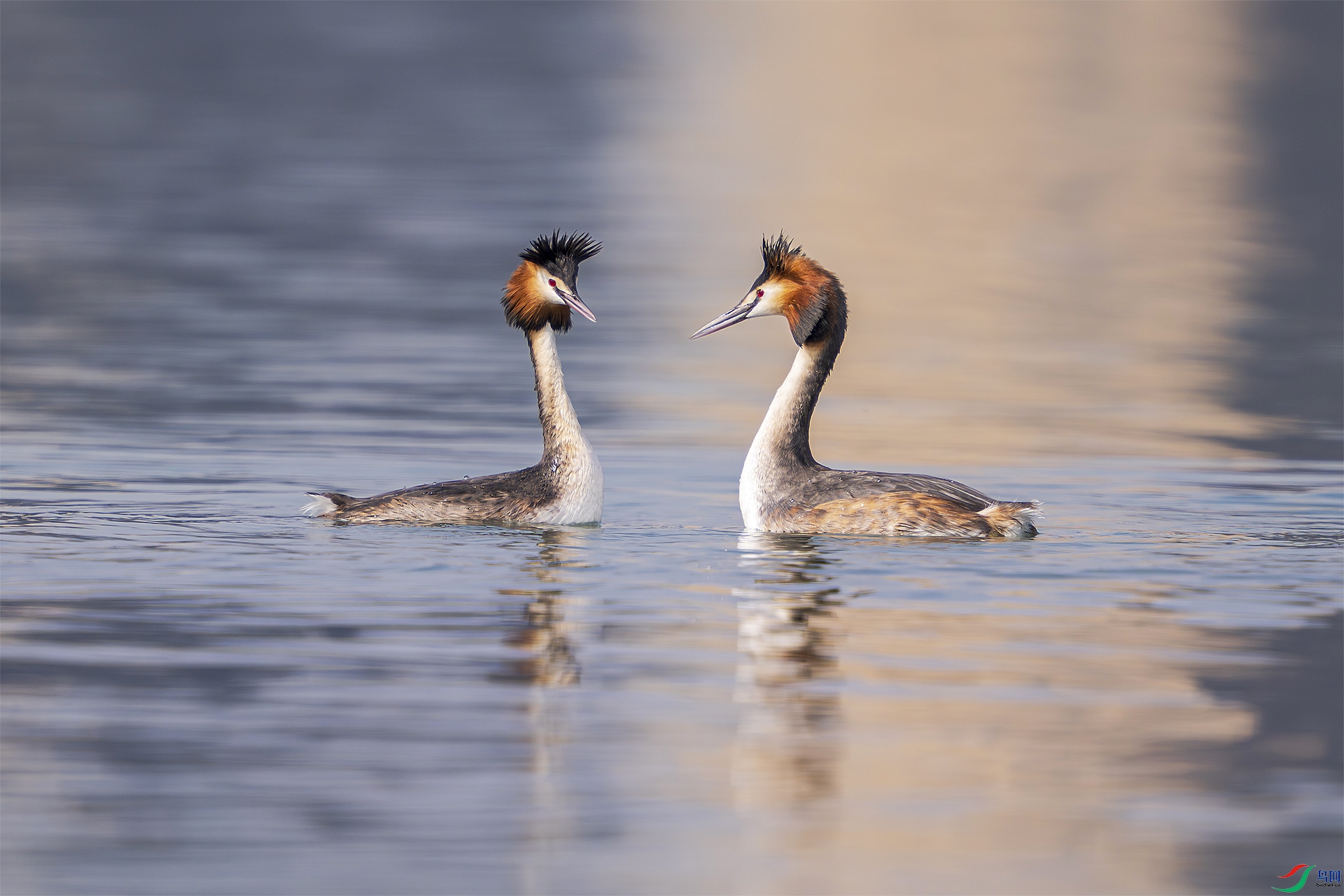 _DSC9673 ����.jpg