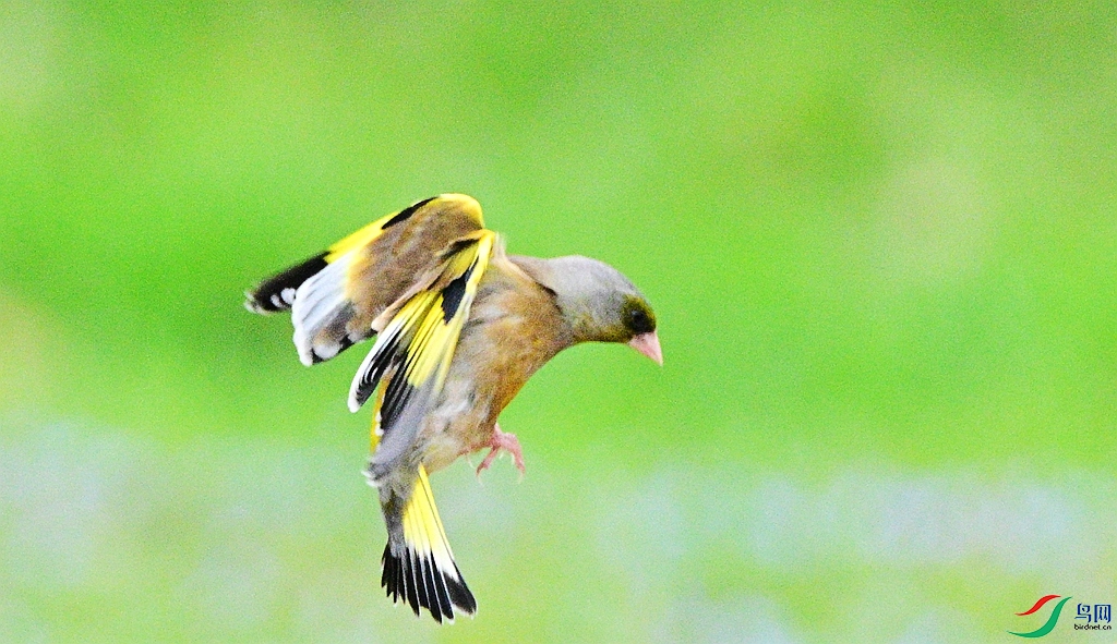 DSC_8208.JPG
