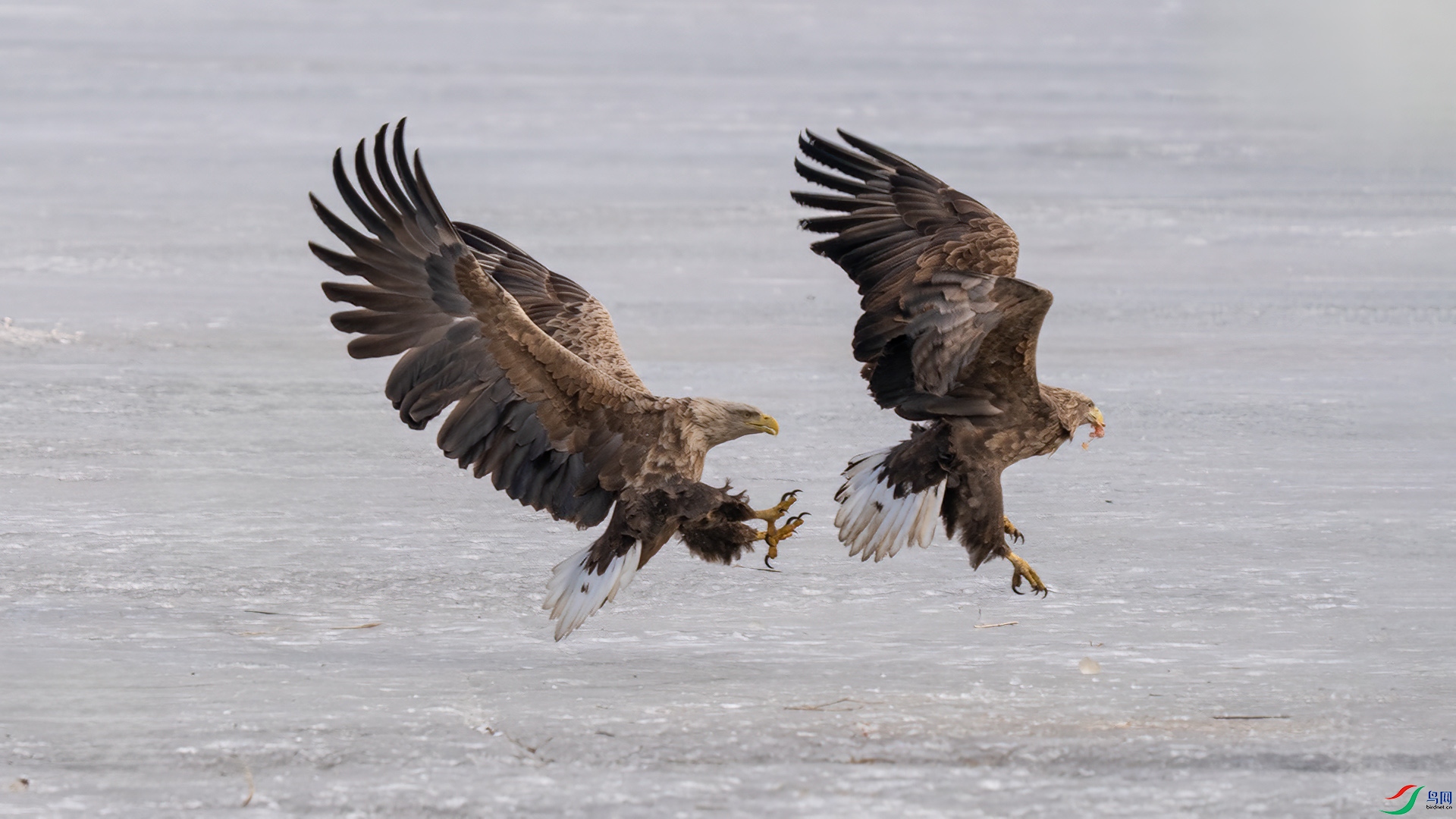 DSC04315 ����.jpg