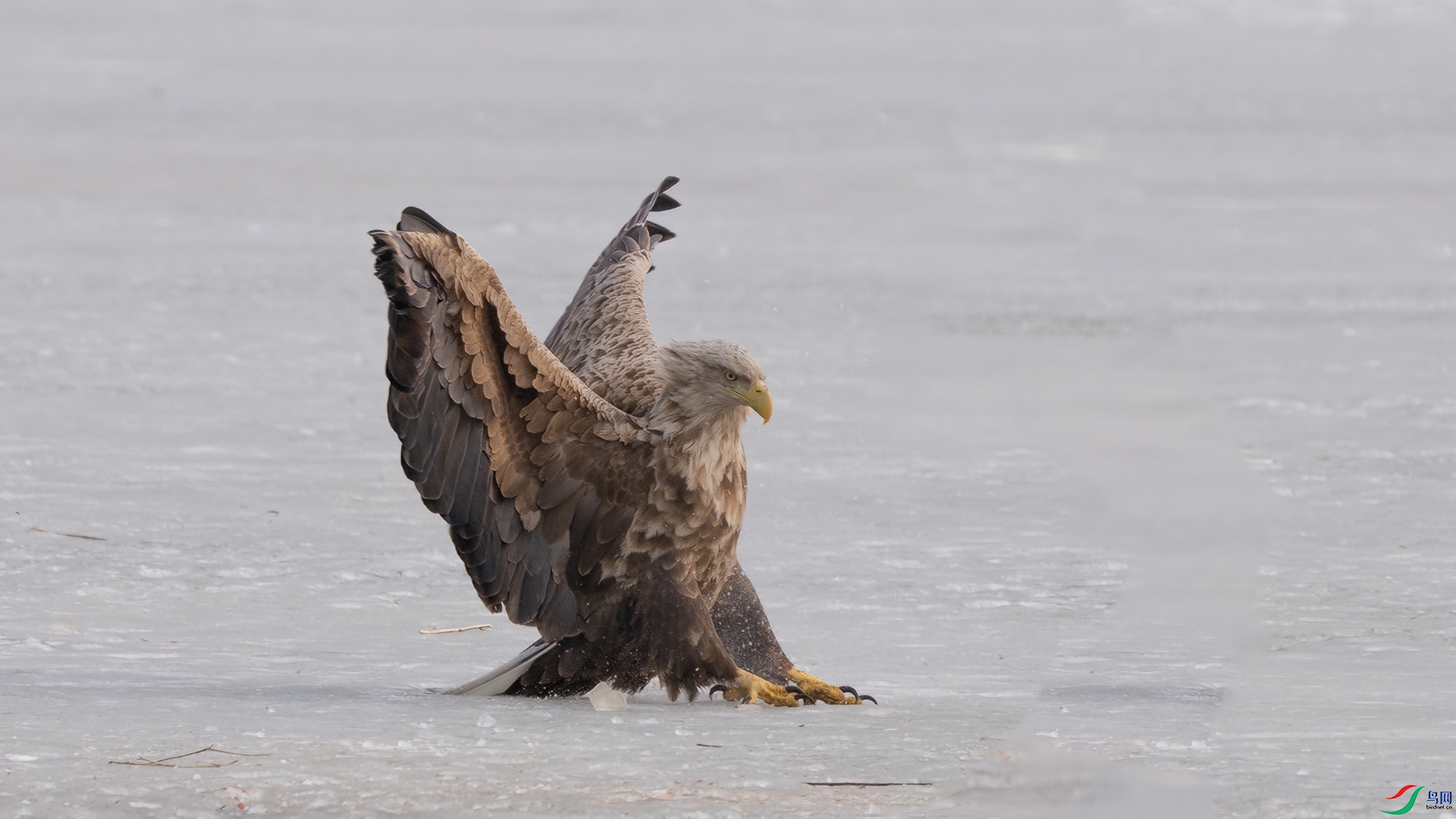 DSC04317 ����.jpg