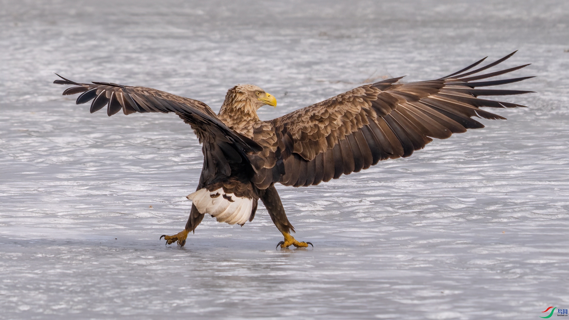 DSC08914 ����.jpg