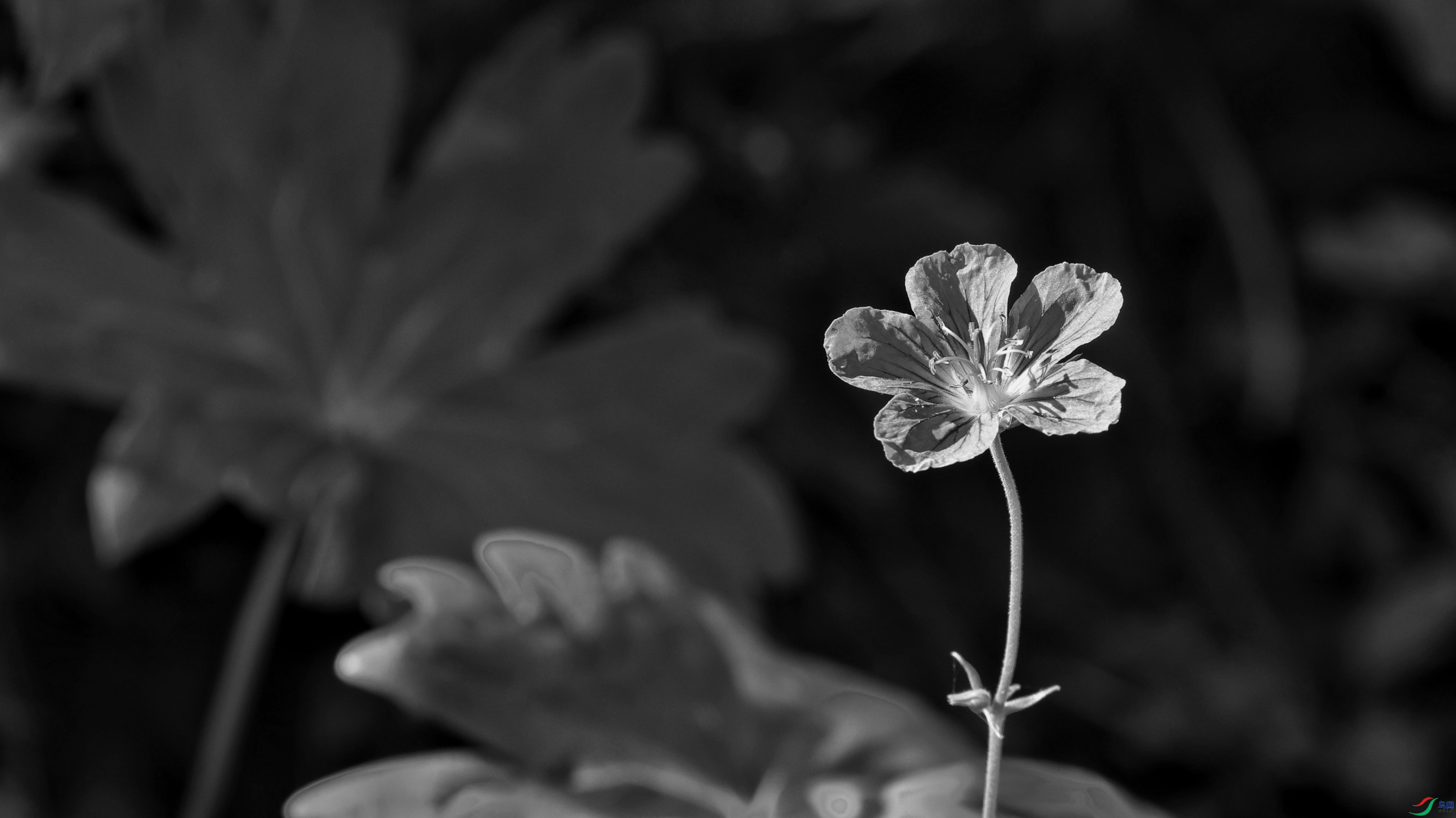 2F6A1165_����_����_����.jpg