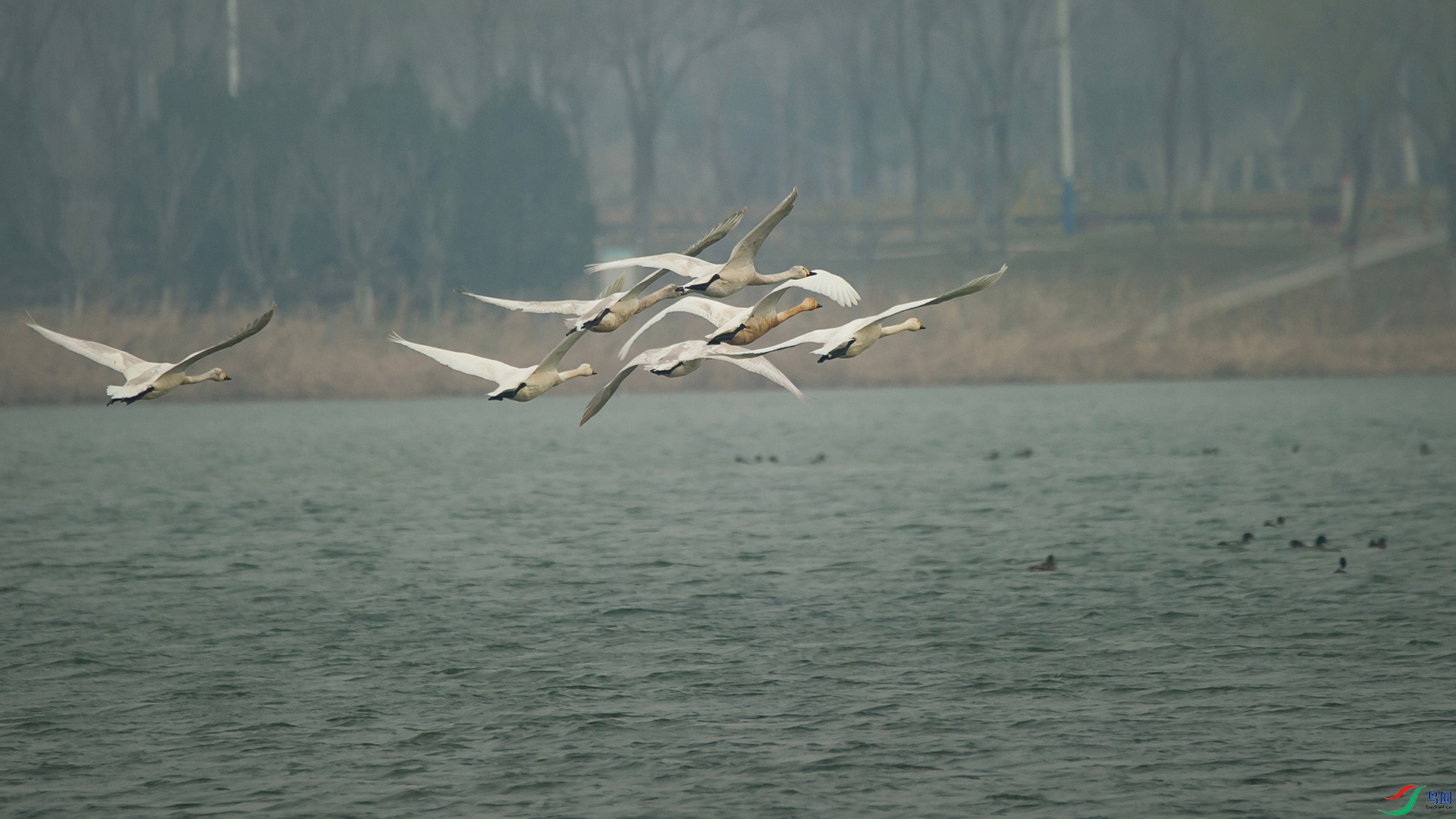 _DSC6838-20220316�ü� .jpg