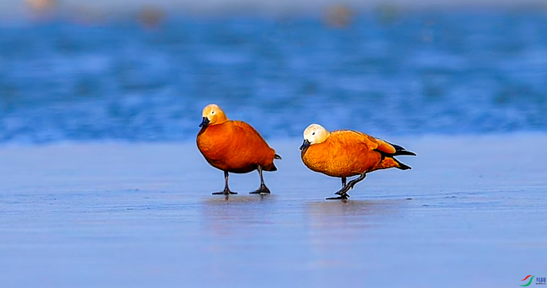 3��16�� (4).jpg