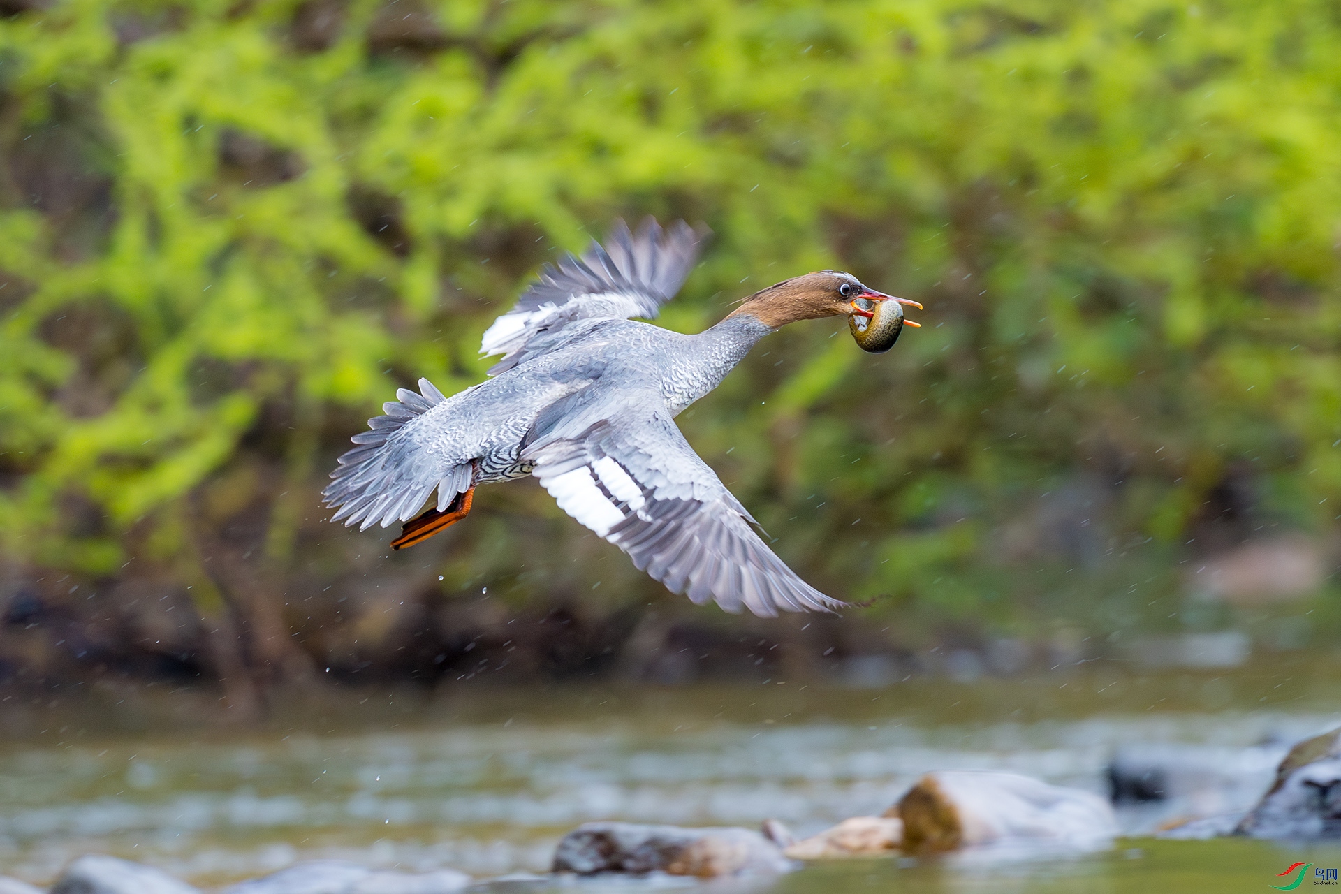 _F9A9301 ����.jpg