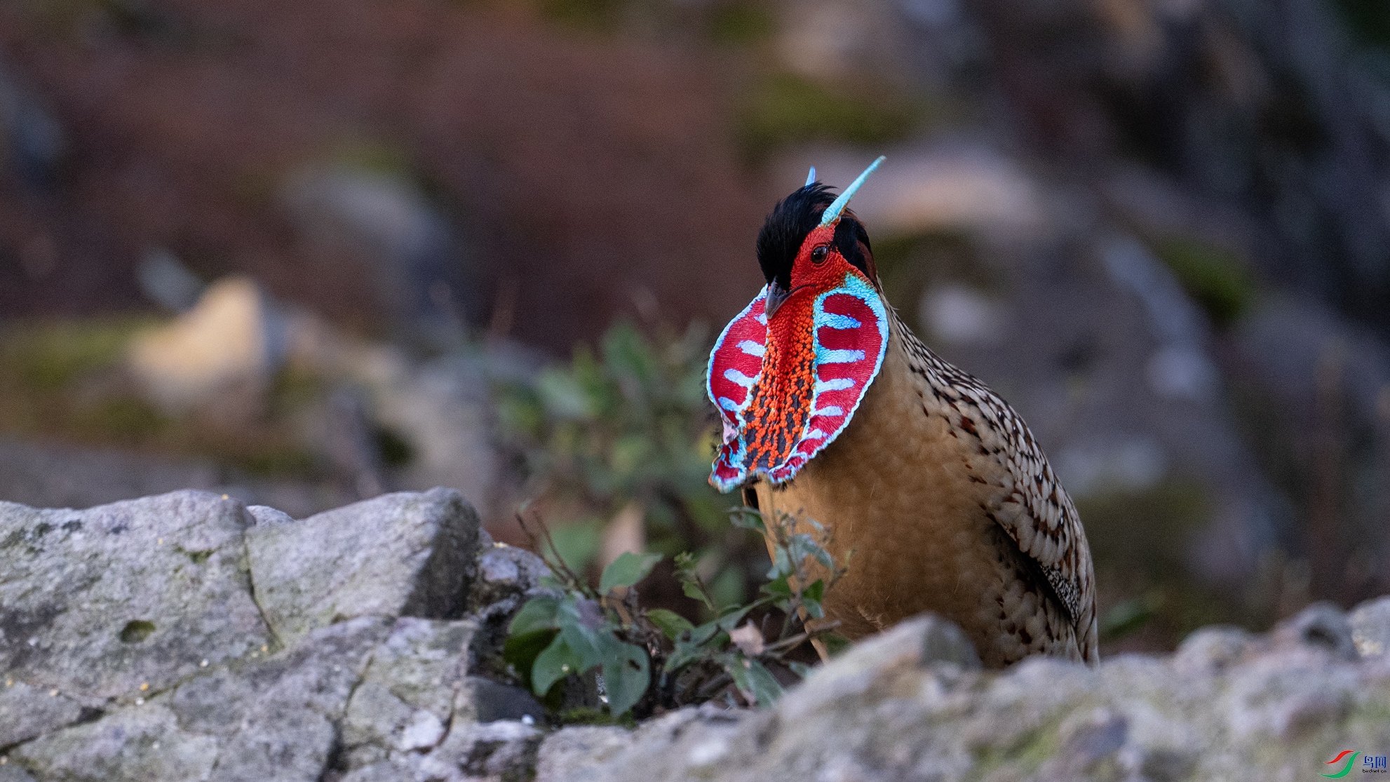 _DSC7237 ��������.jpg