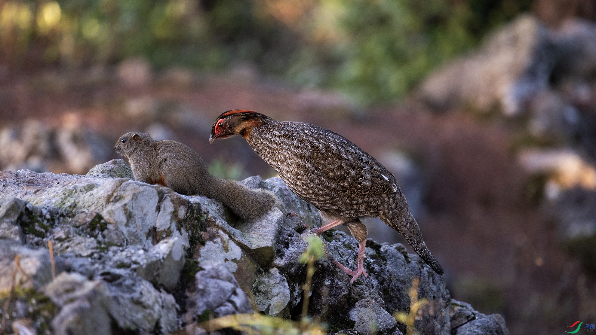 _DSC4148 ����.jpg