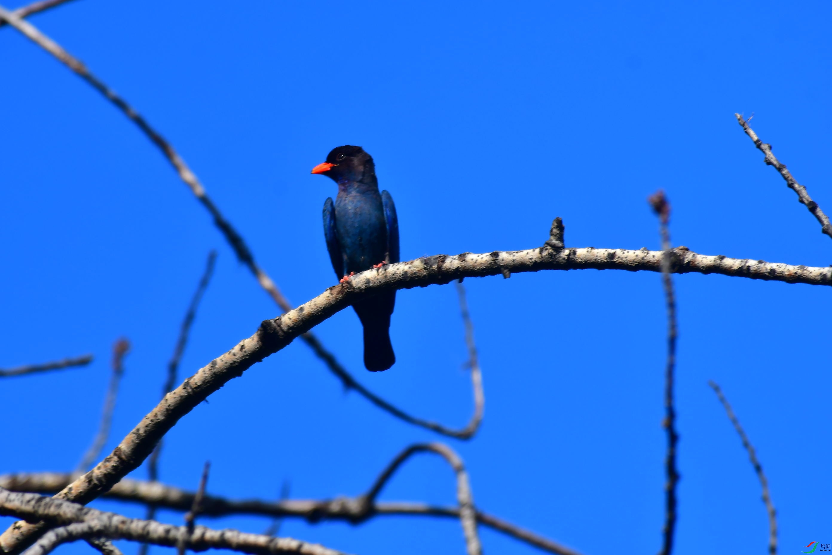 DSC_7469_��ͼ��.jpg