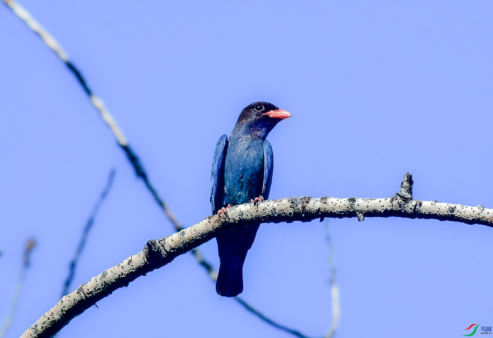 DSC_7535_��ͼ��_1_2.jpg