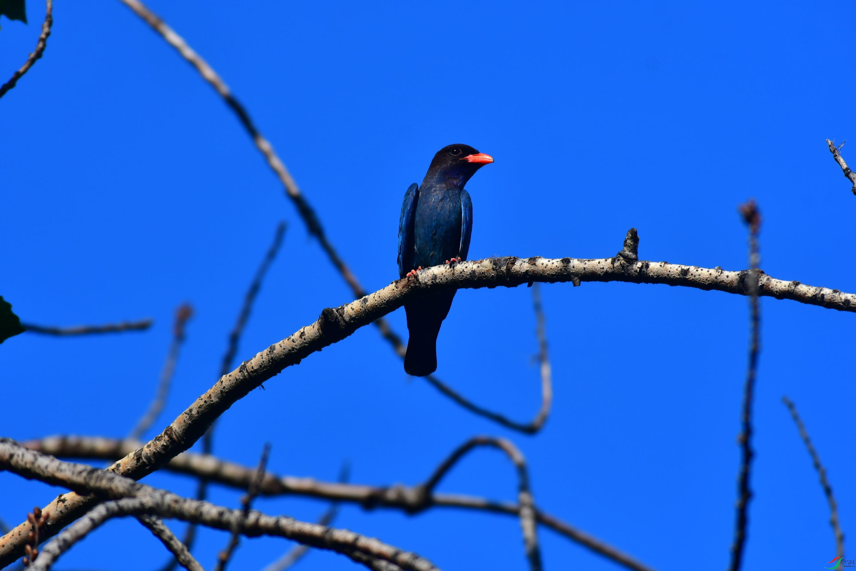 DSC_7535_��ͼ��.jpg