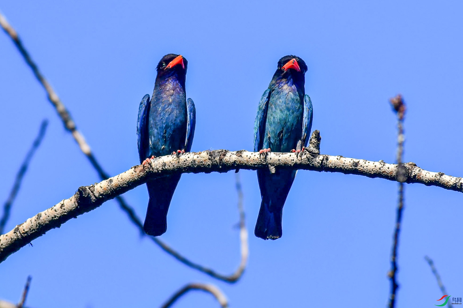 DSC_7591_��ͼ��_1.jpg