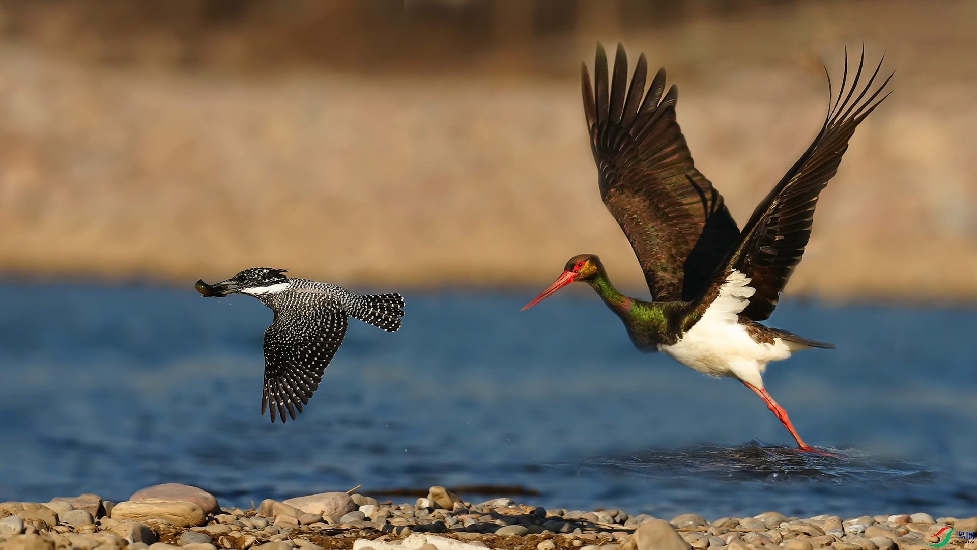 ��������㹷