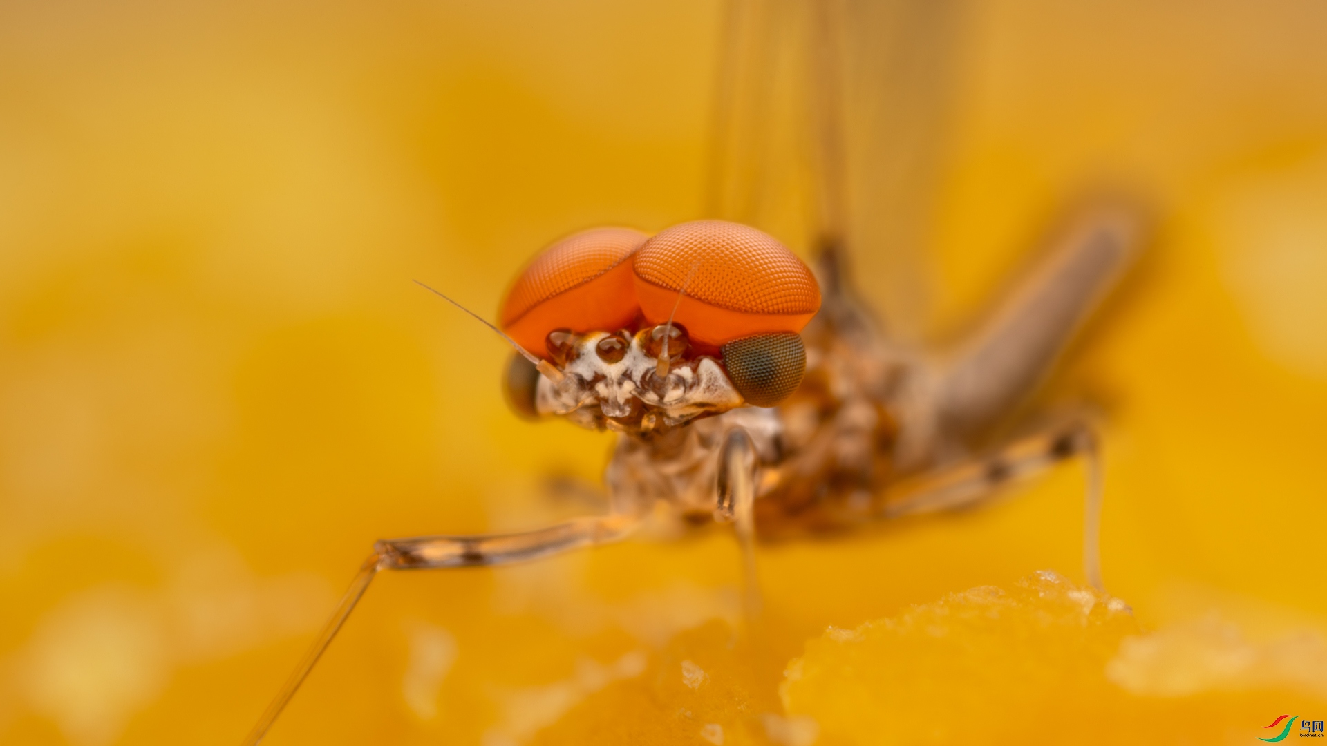 _46A6722-1.jpg