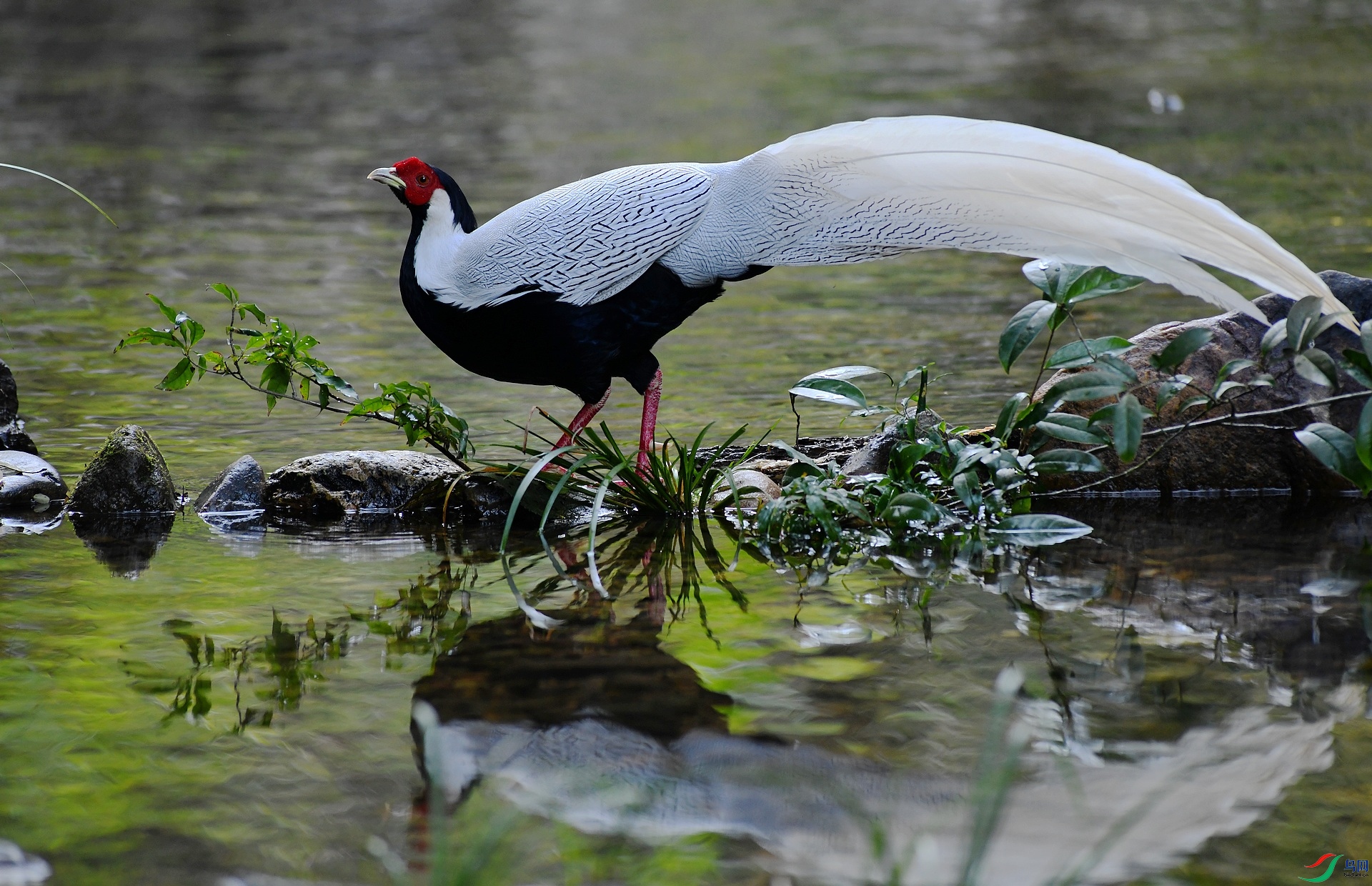 DSC_2157.jpg