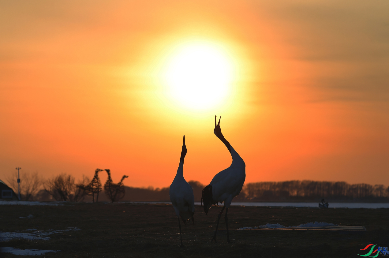 ����Ϧ�� [�ٻ��������]   ���Ŀ���.png