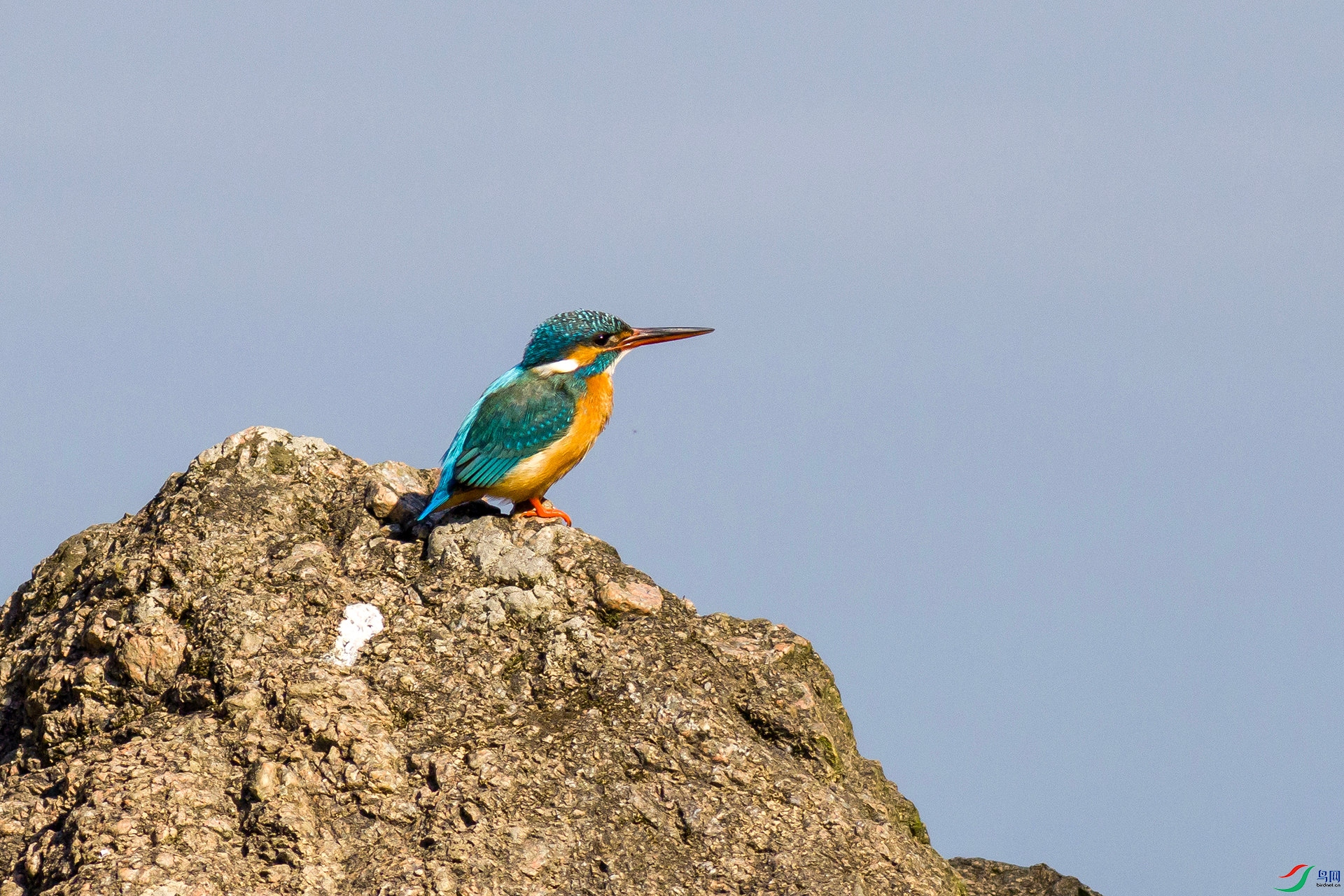 2H6A1911 ����_����.jpg