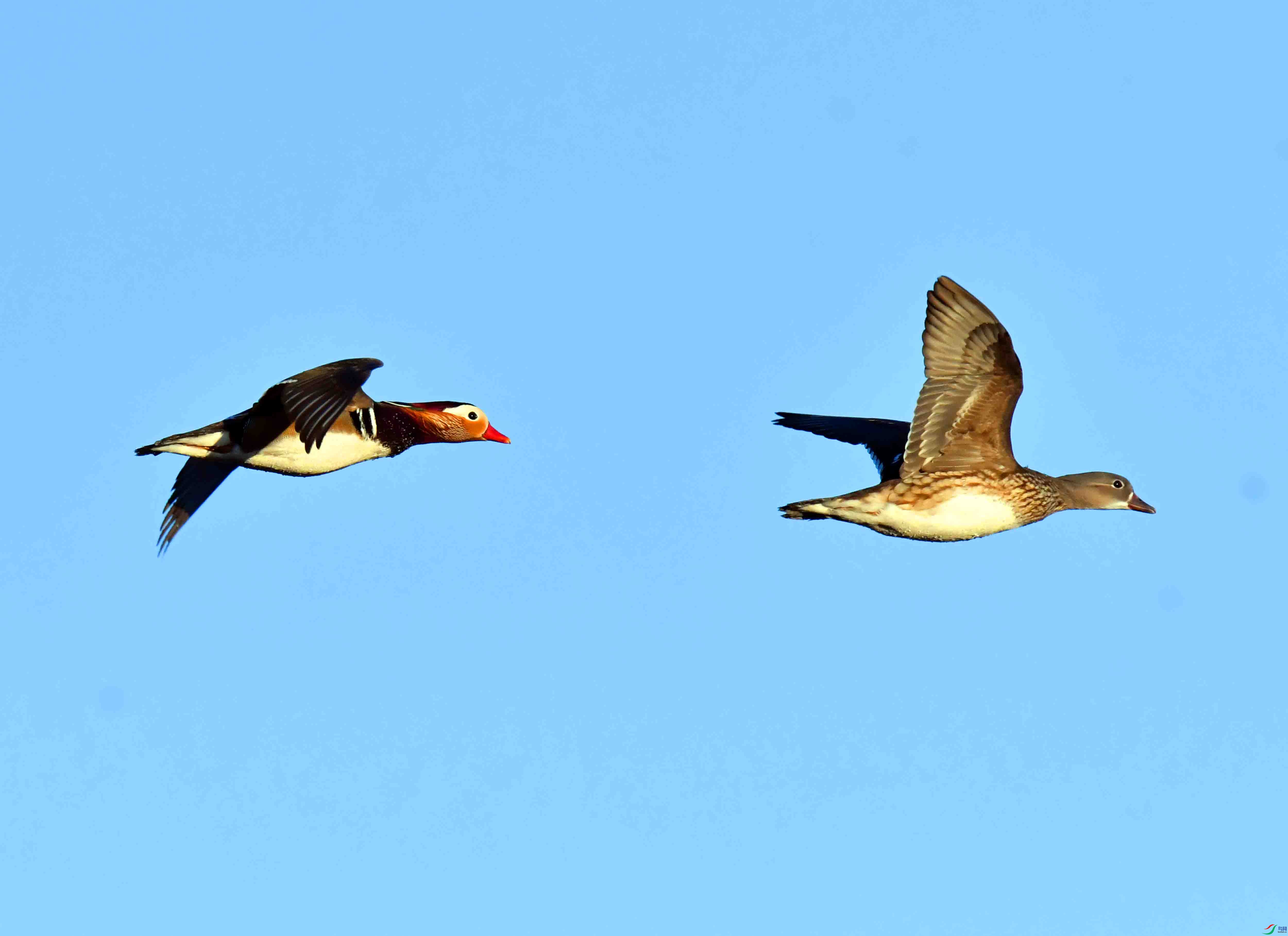 DSC_2590.JPG