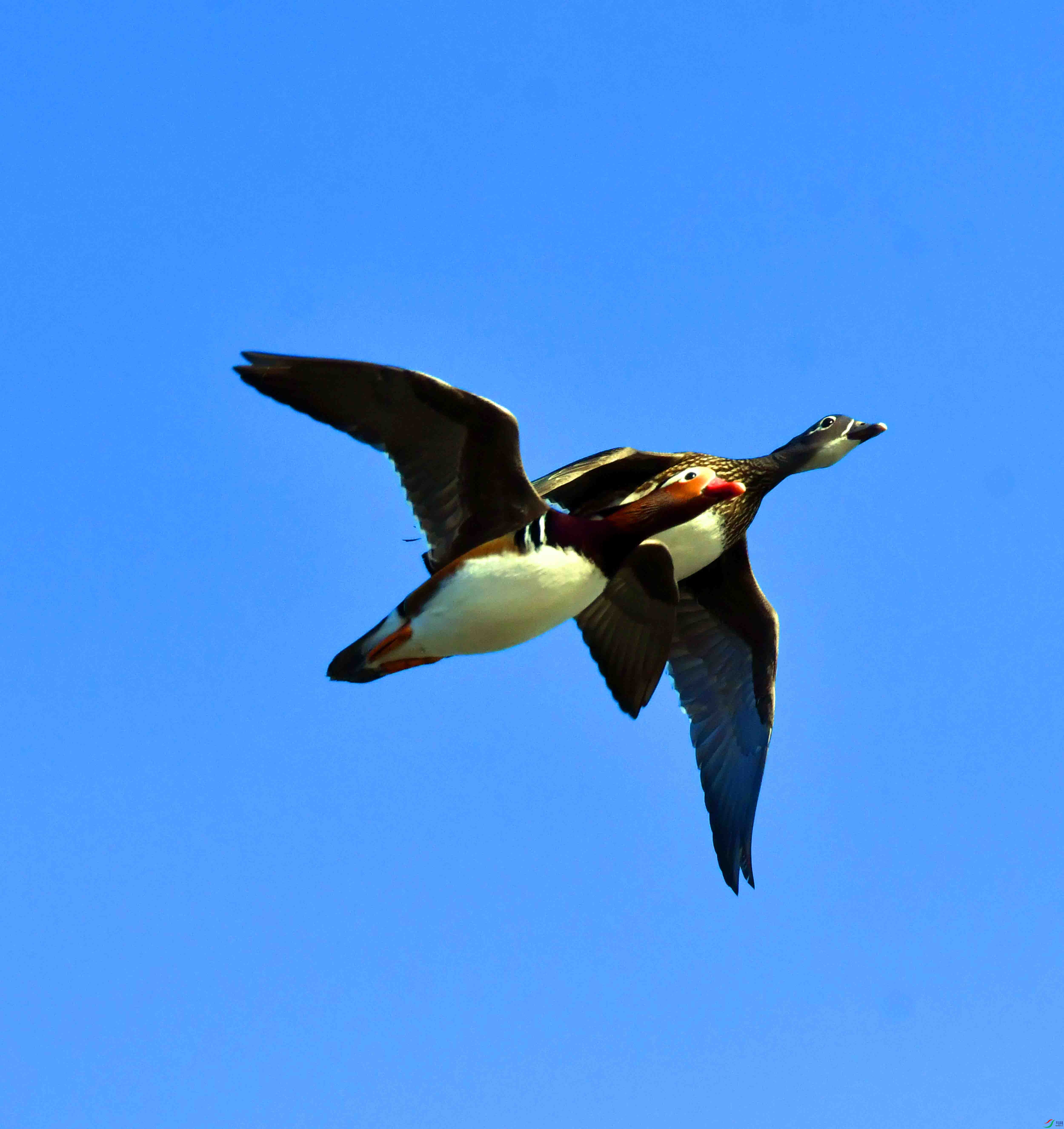 DSC_7316.JPG