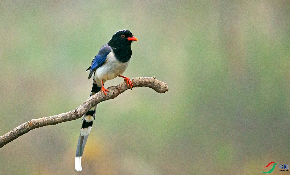 _GH_7503.jpg