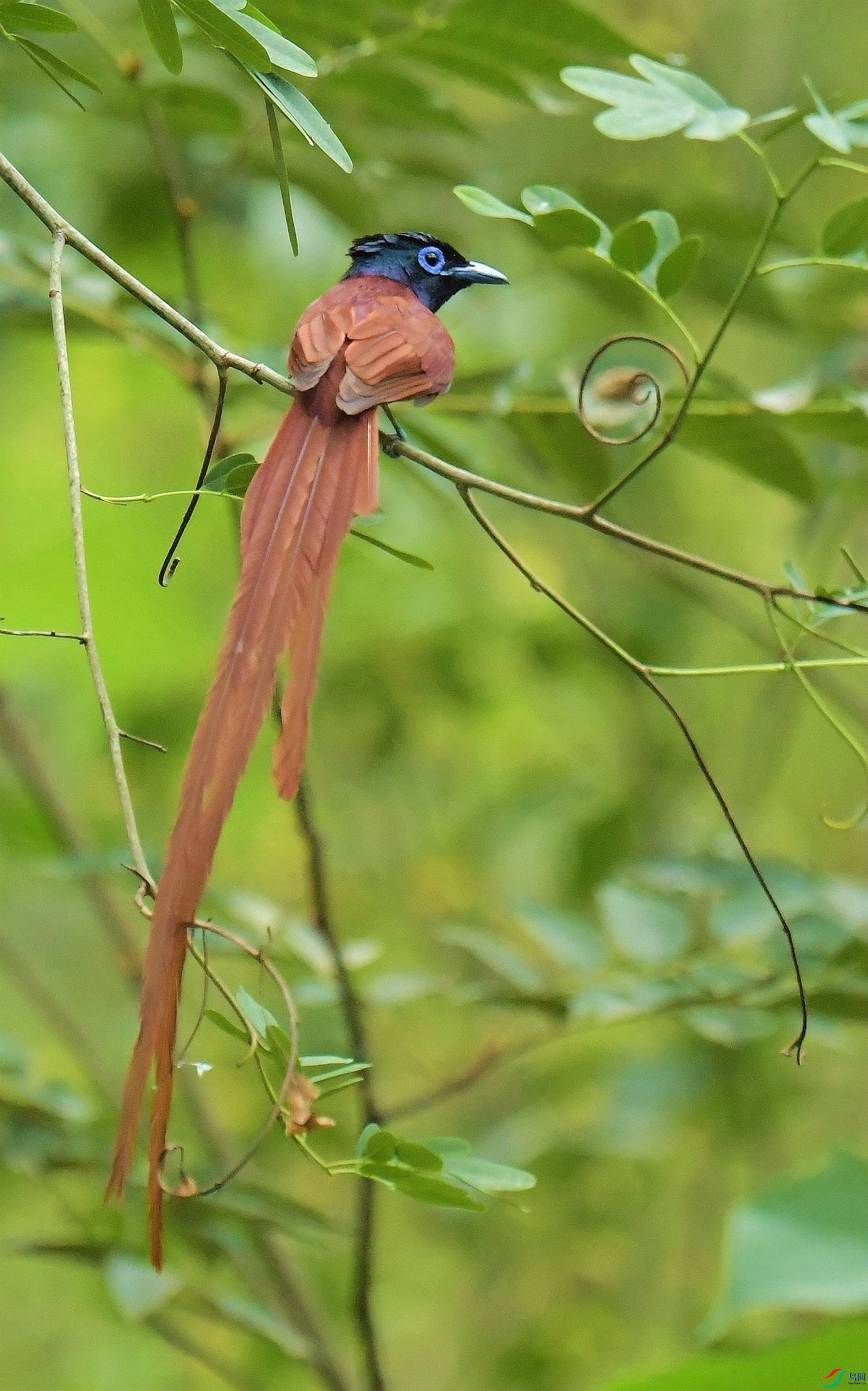 DSC_3142.JPG