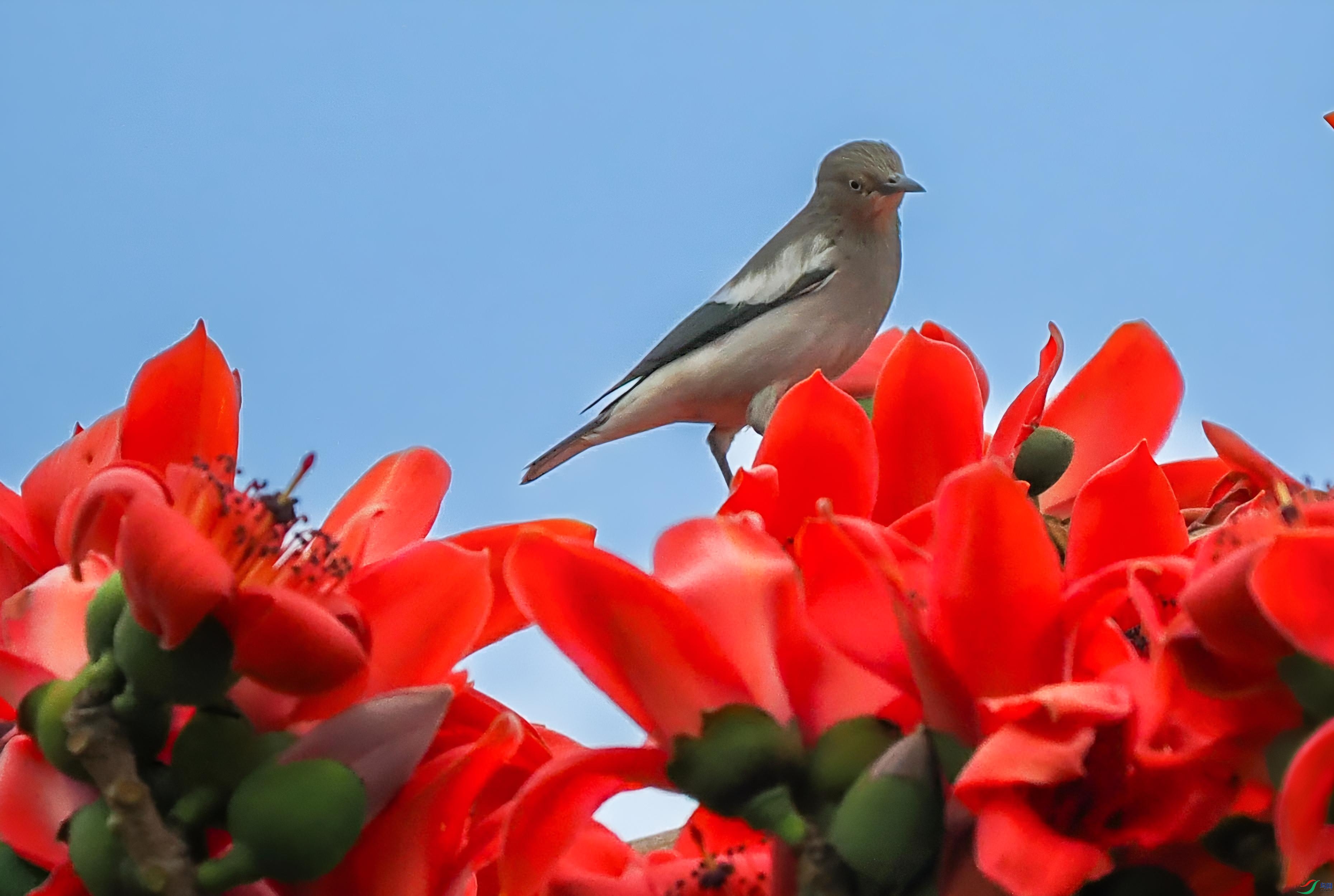 P2230031_��ͼ.jpg