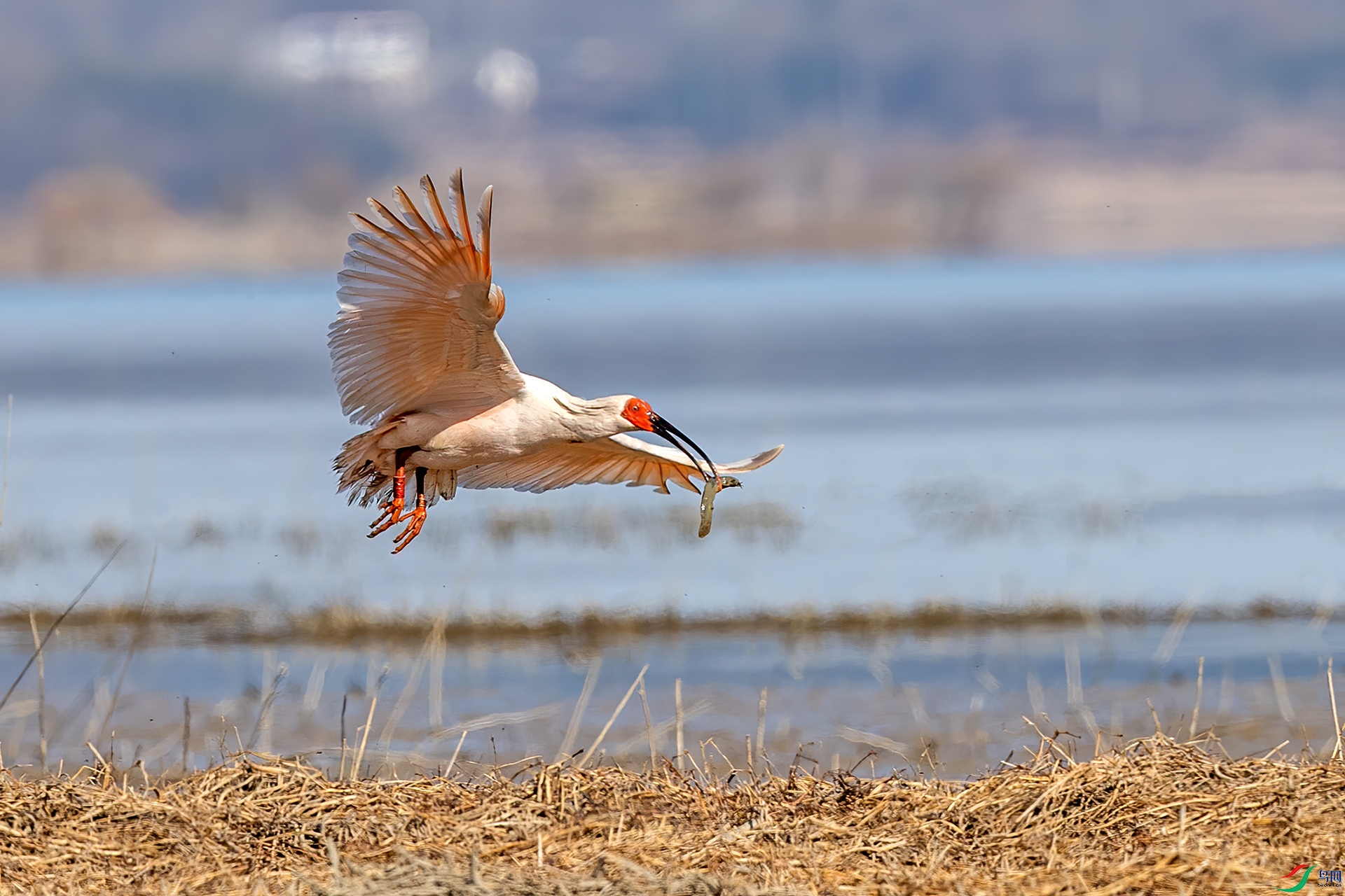 _32I8418 ����.jpg