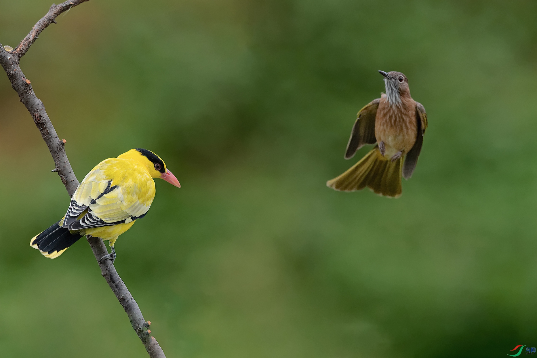 DSC_7841_DxOa.jpg