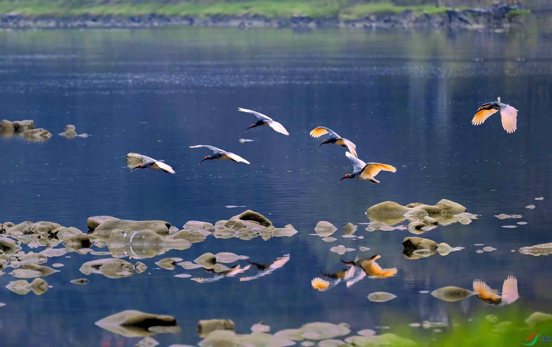 ʯ̲���𣬾������q