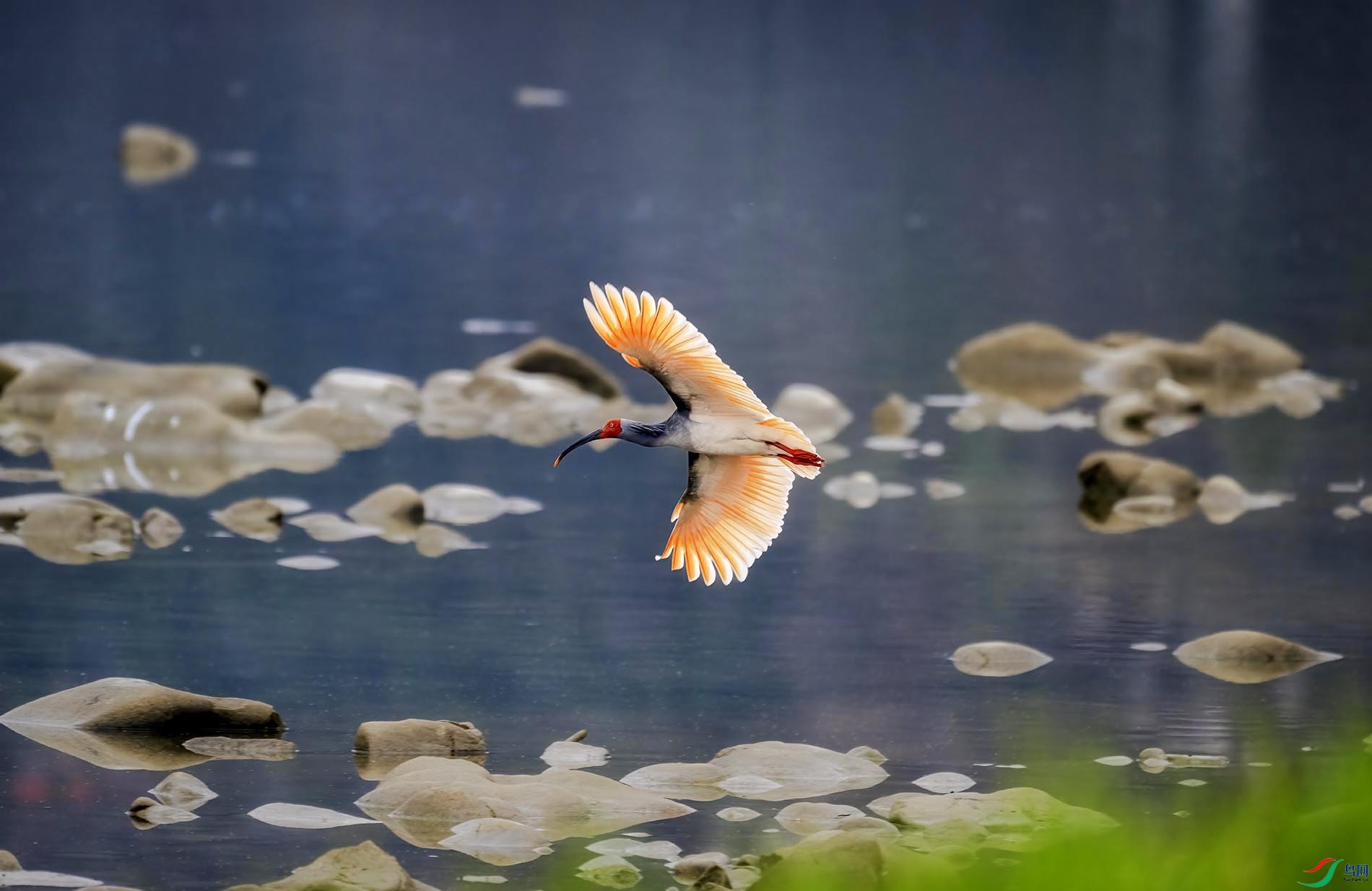 ʯ̲���𣬾������q