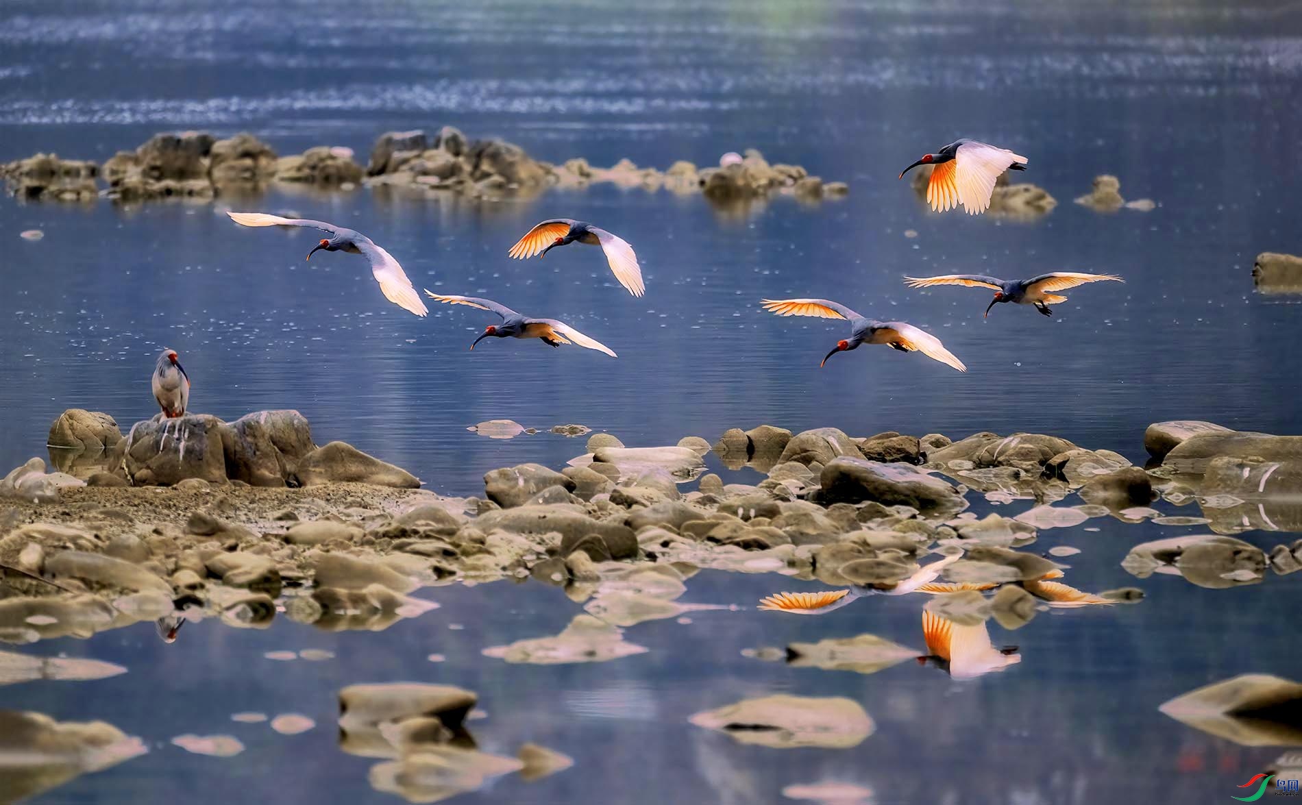 ʯ̲���𣬾������q