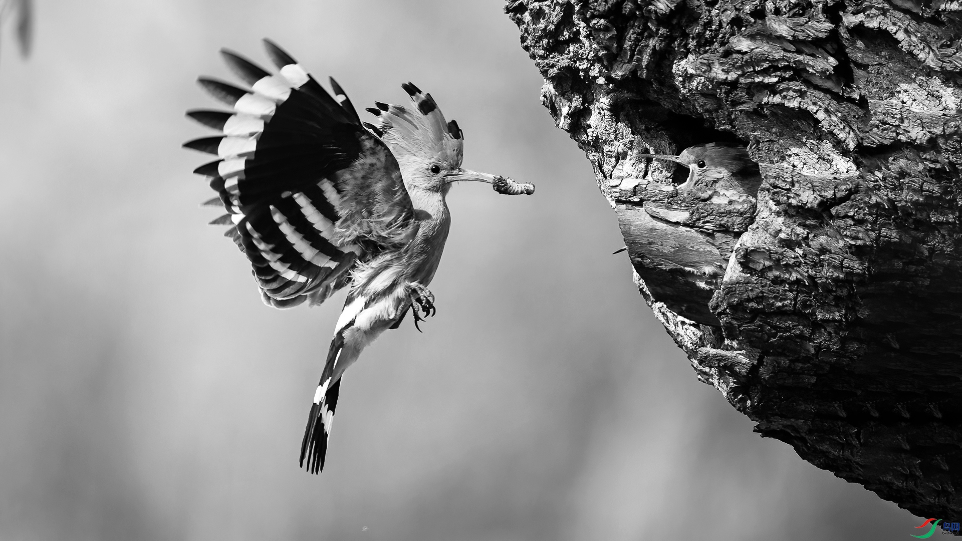 DSC_3845-20250511 �ü� .jpg