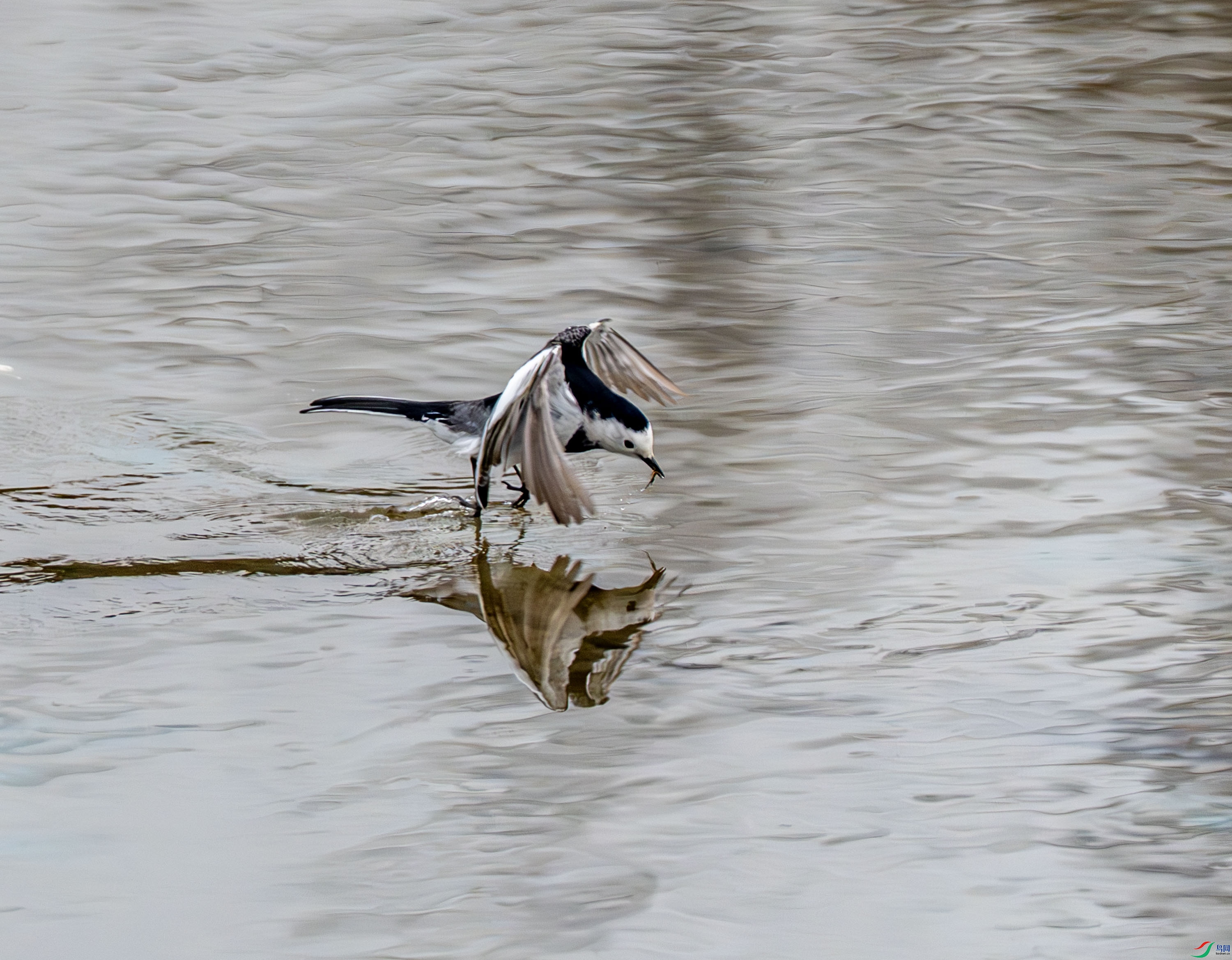 ���n�_ (1 - 7).jpg