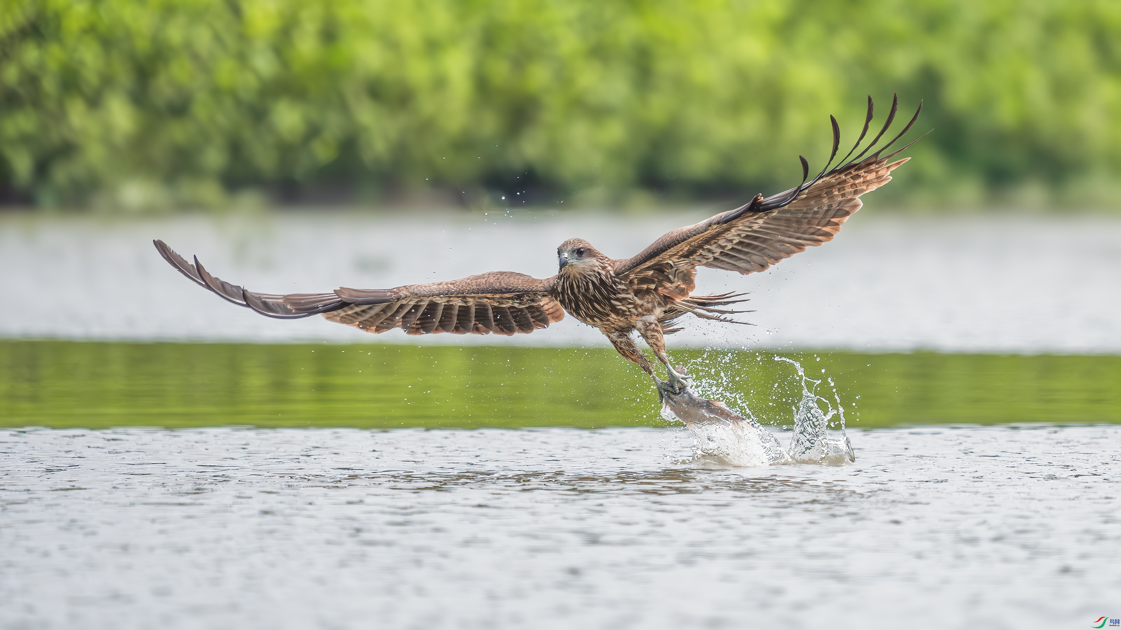 _DSC9696 ����.jpg