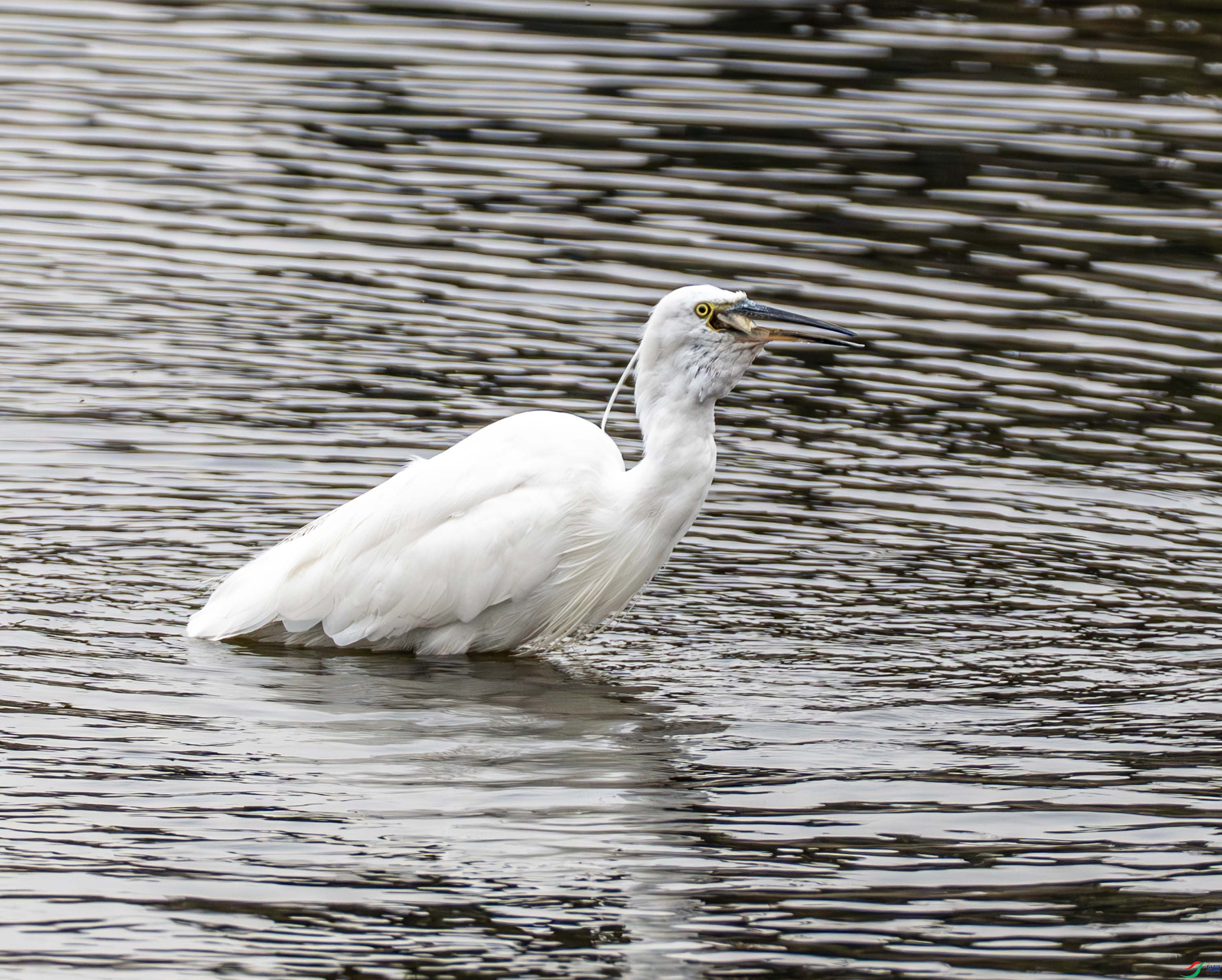 ���� (1 - 3).jpg