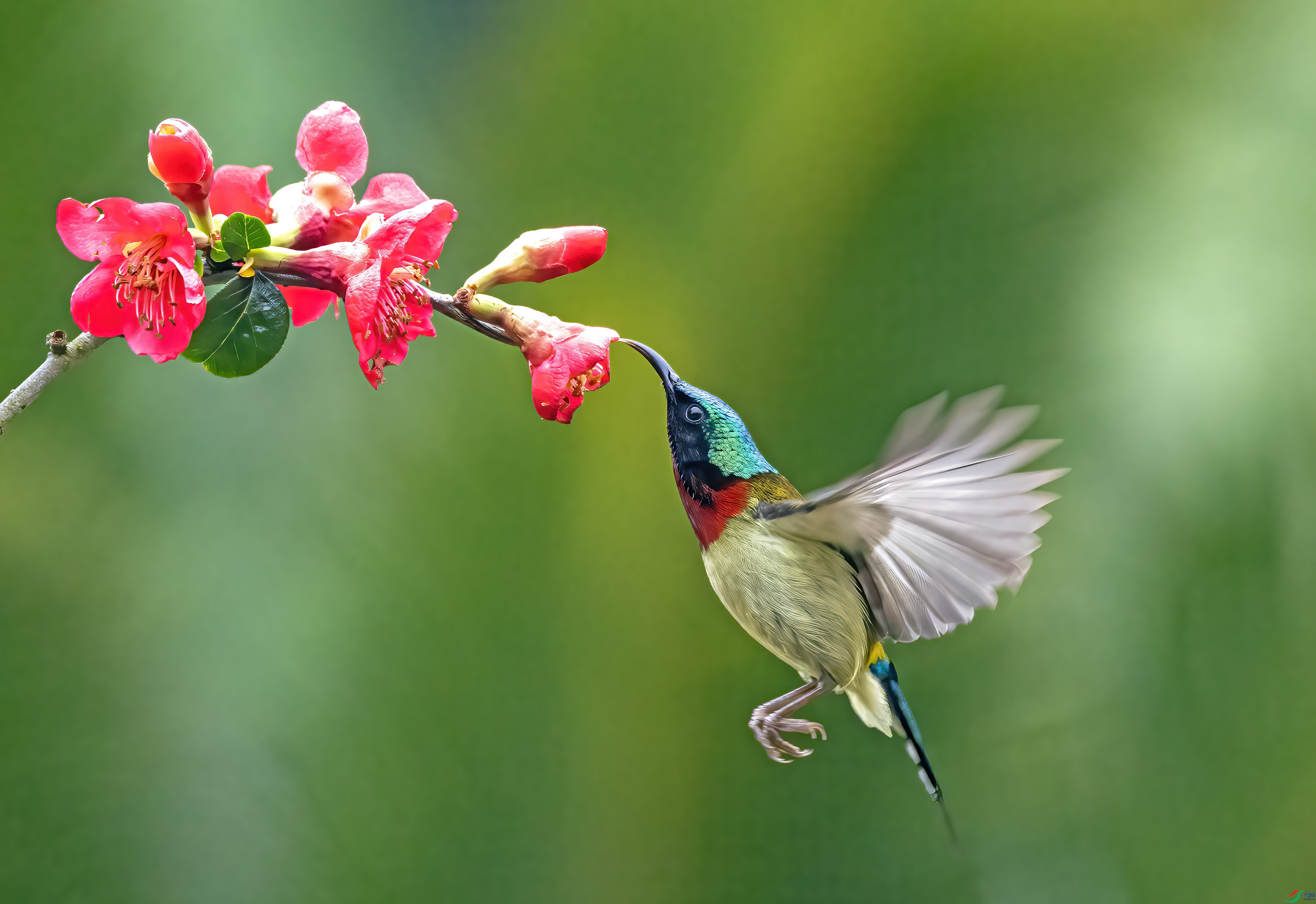 _MG_6145 ����.jpg