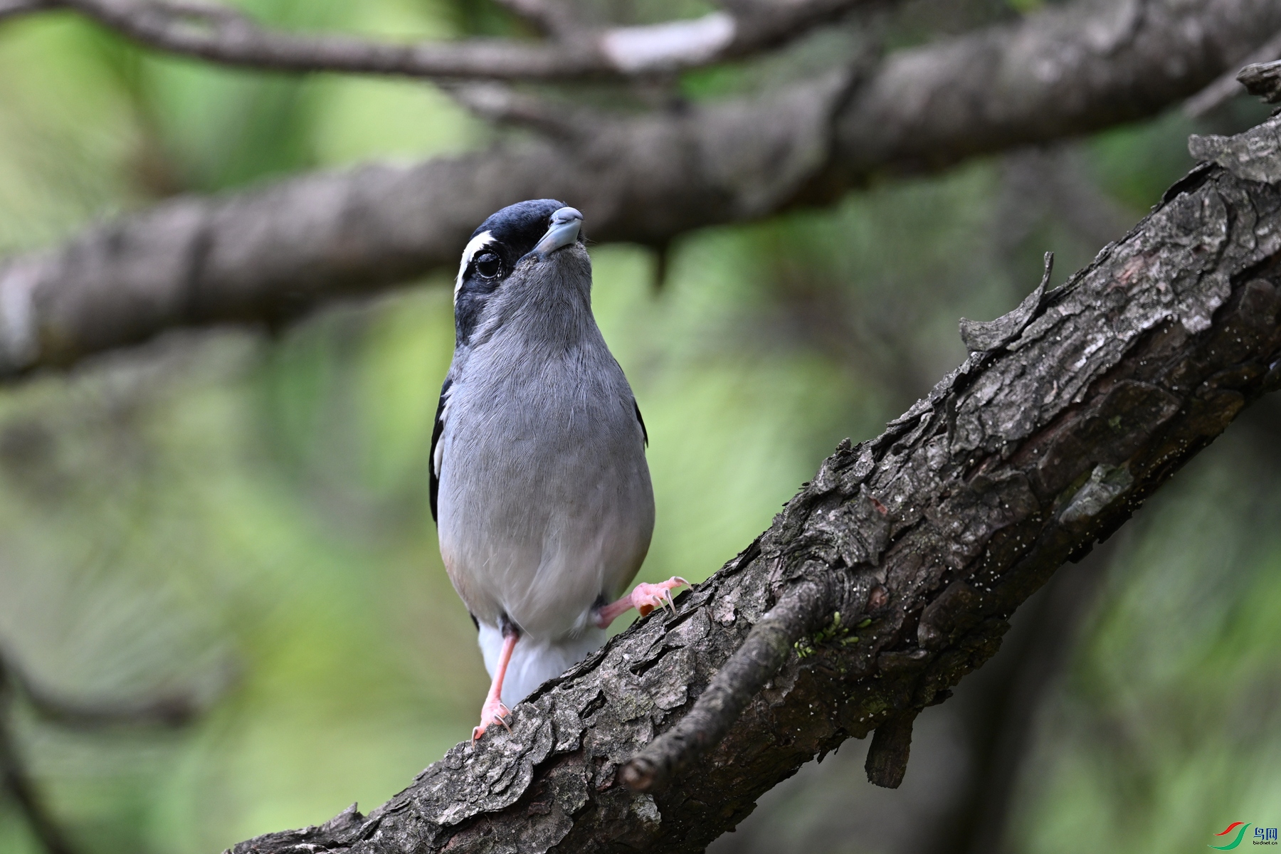 DSC_1495.JPG