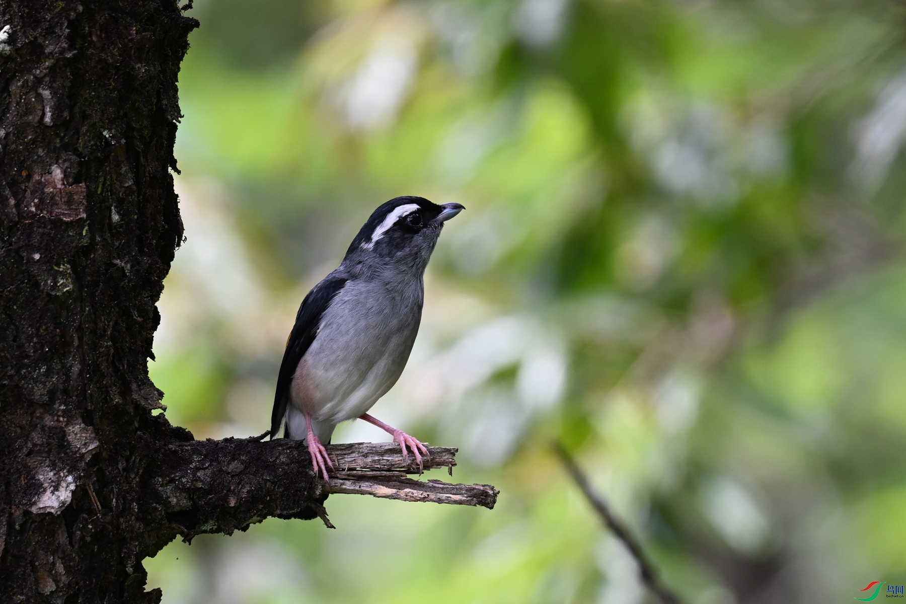 DSC_1464.JPG
