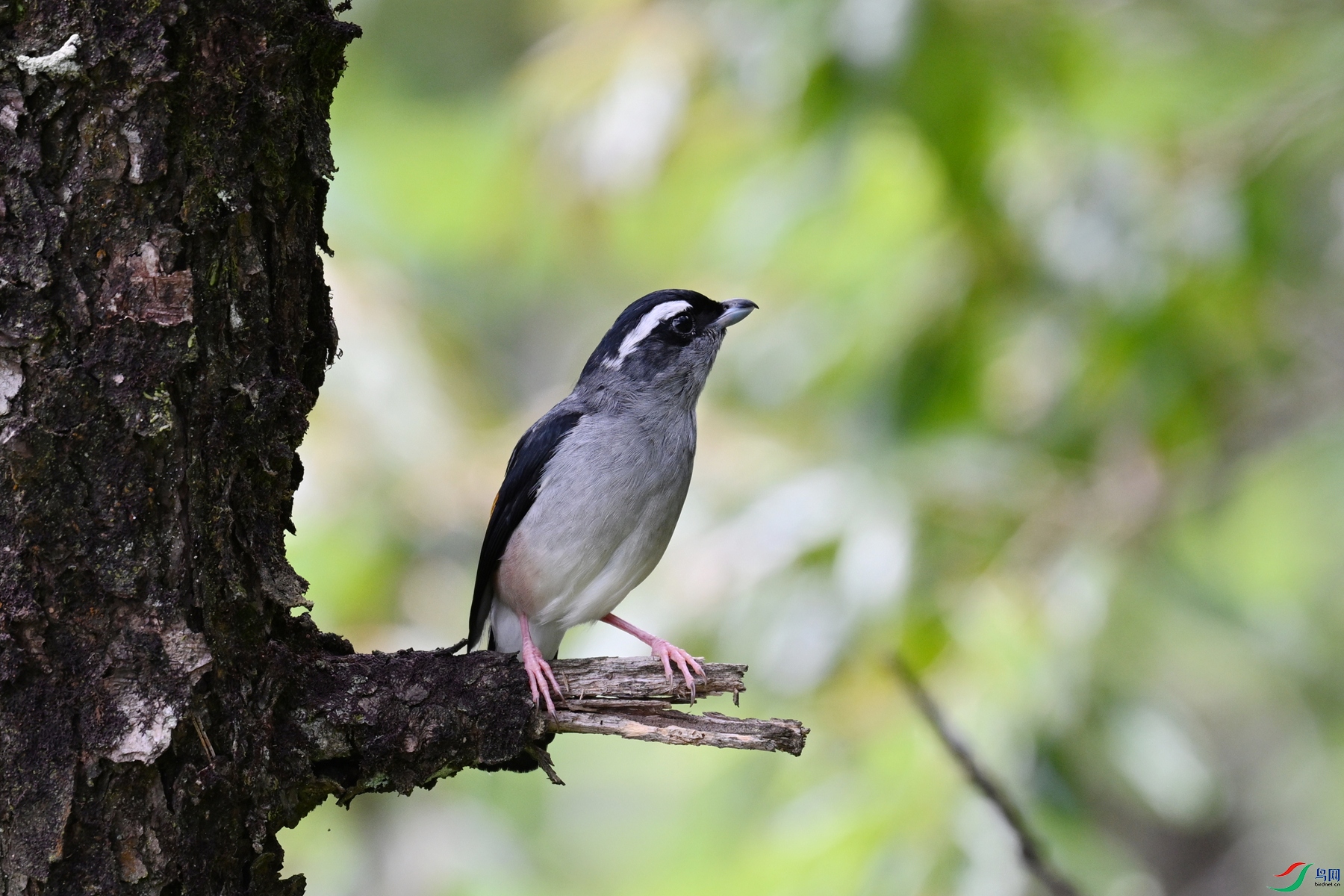 DSC_1465.JPG