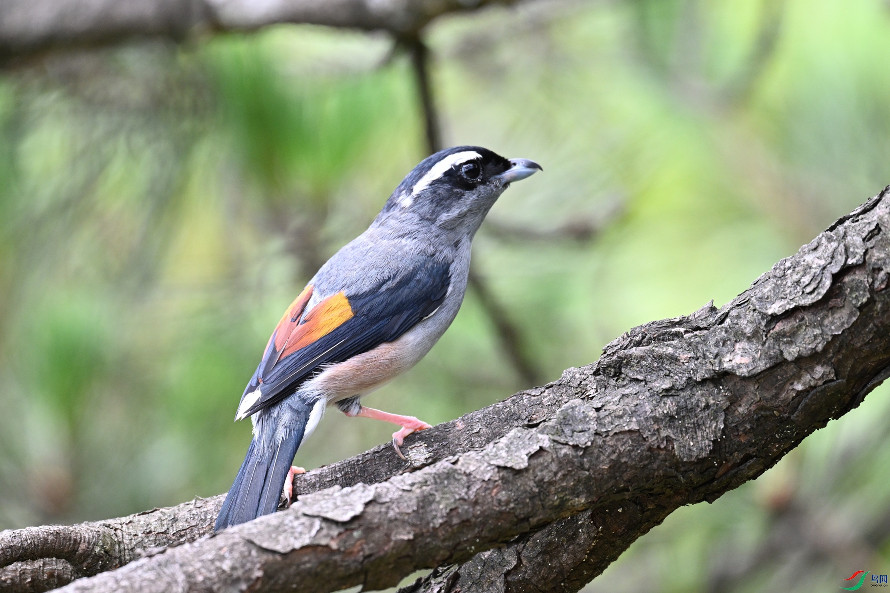 DSC_1507.JPG
